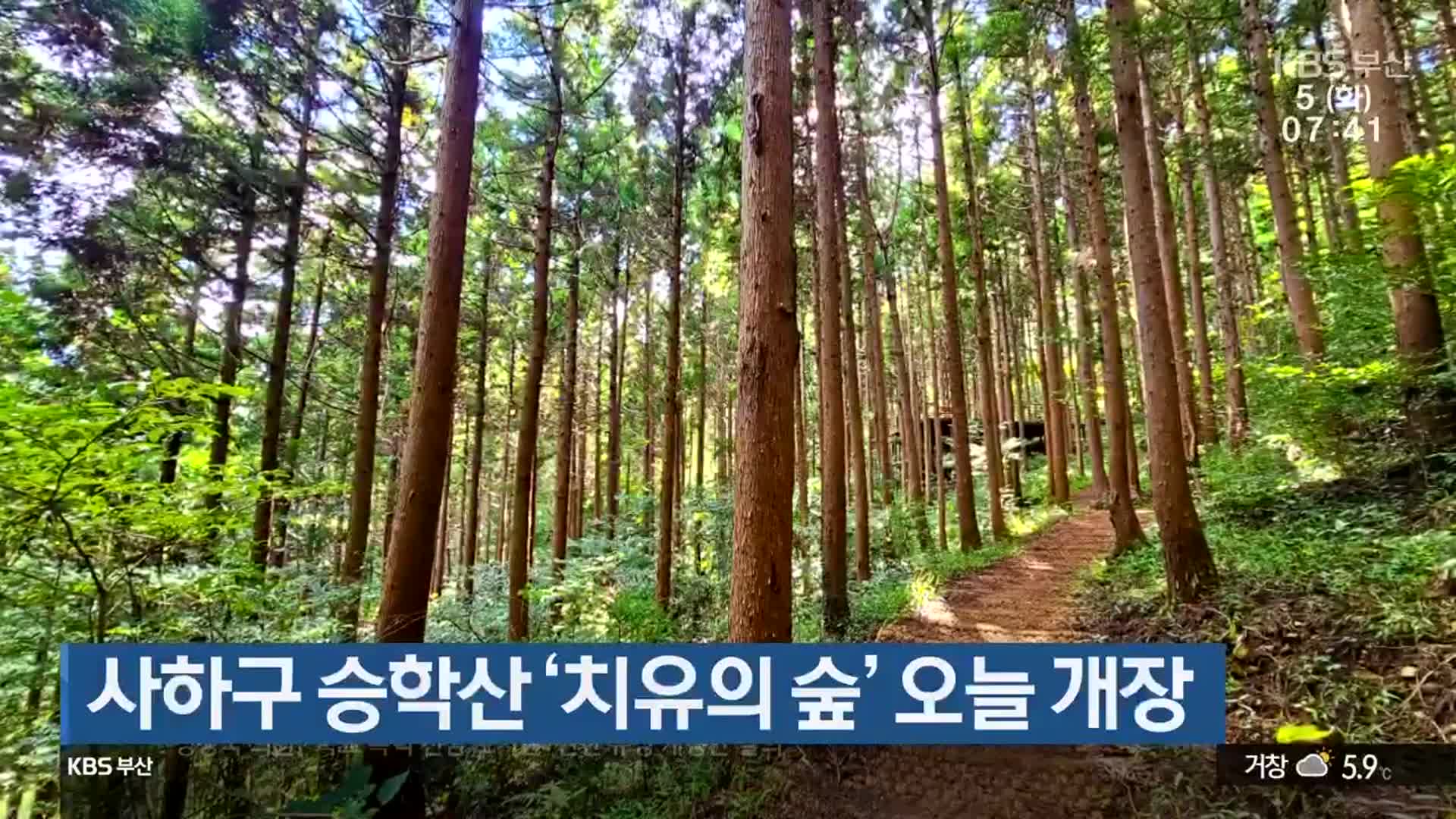 사하구 승학산 ‘치유의 숲’ 오늘 개장