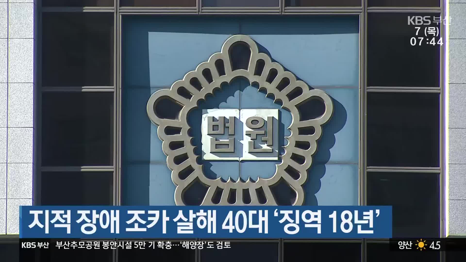 지적 장애 조카 살해 40대 ‘징역 18년’