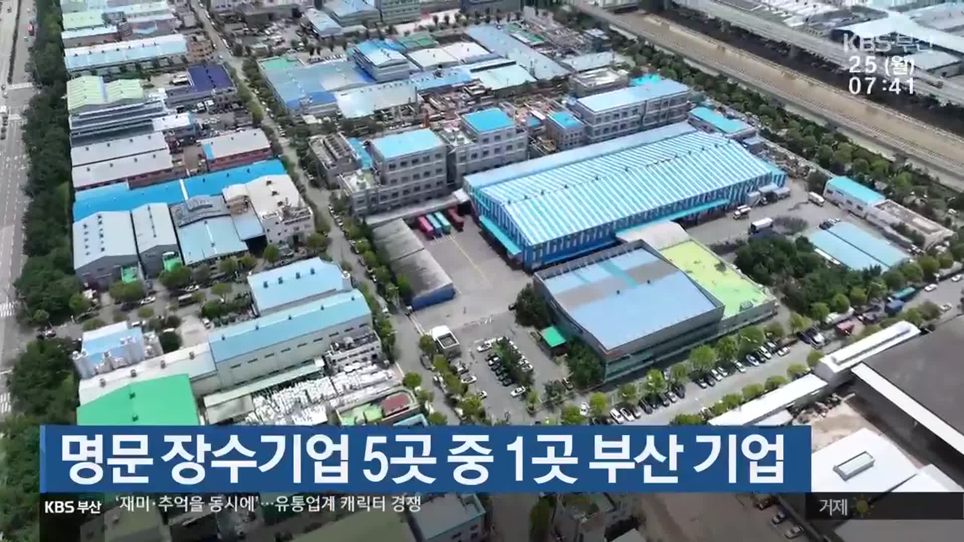 명문 장수기업 5곳 중 1곳 부산 기업