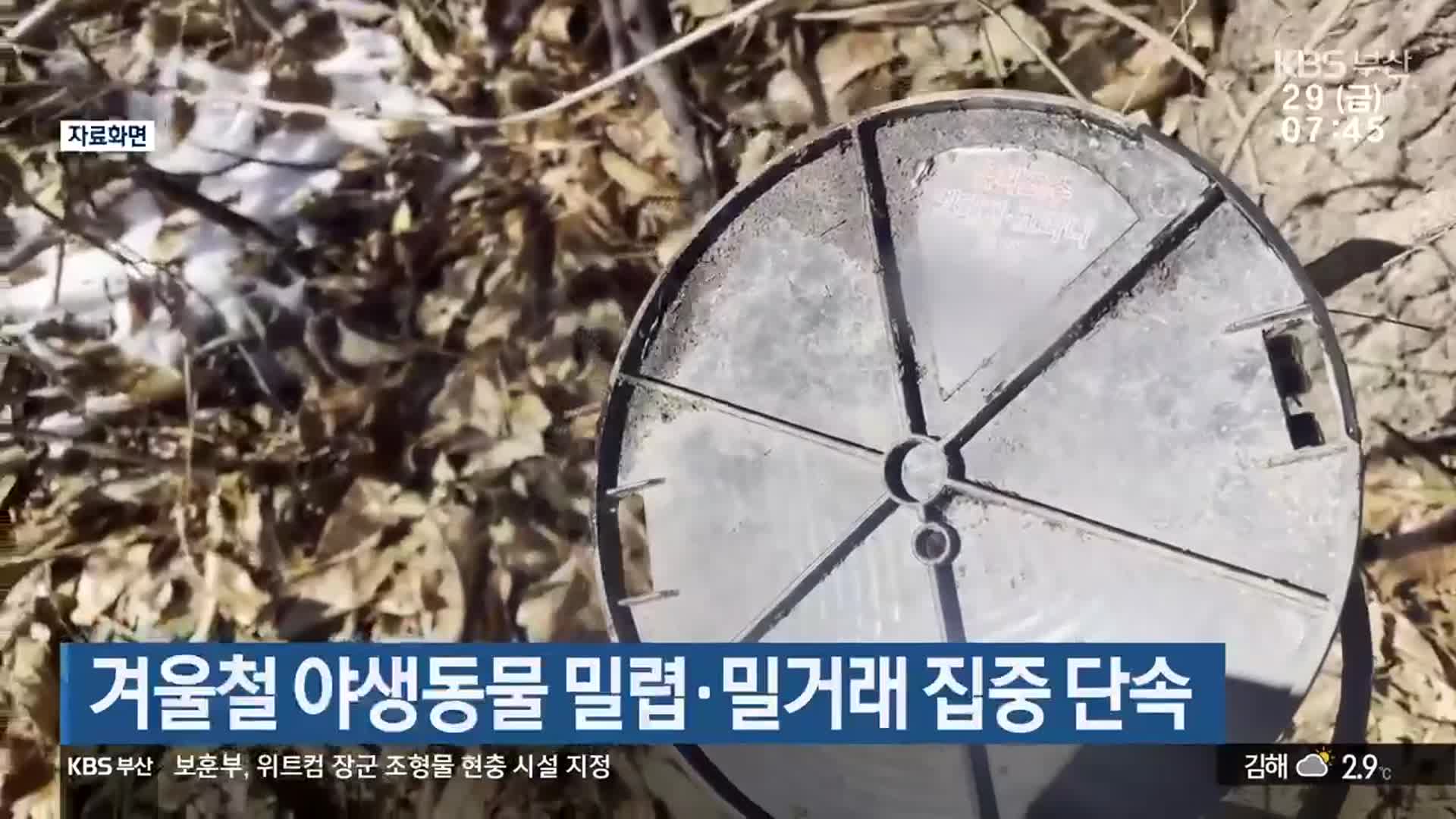 겨울철 야생동물 밀렵·밀거래 집중 단속