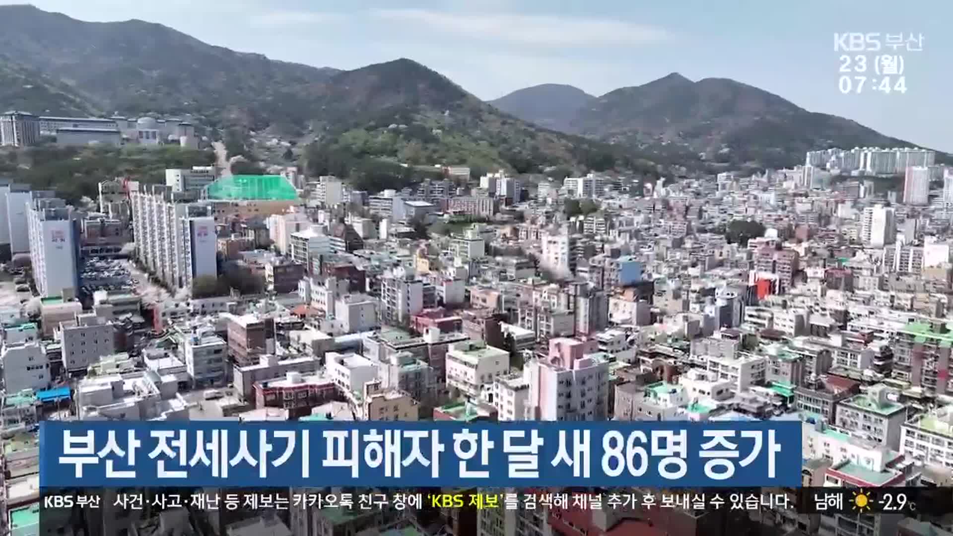 부산 전세사기 피해자 한 달 새 86명 증가