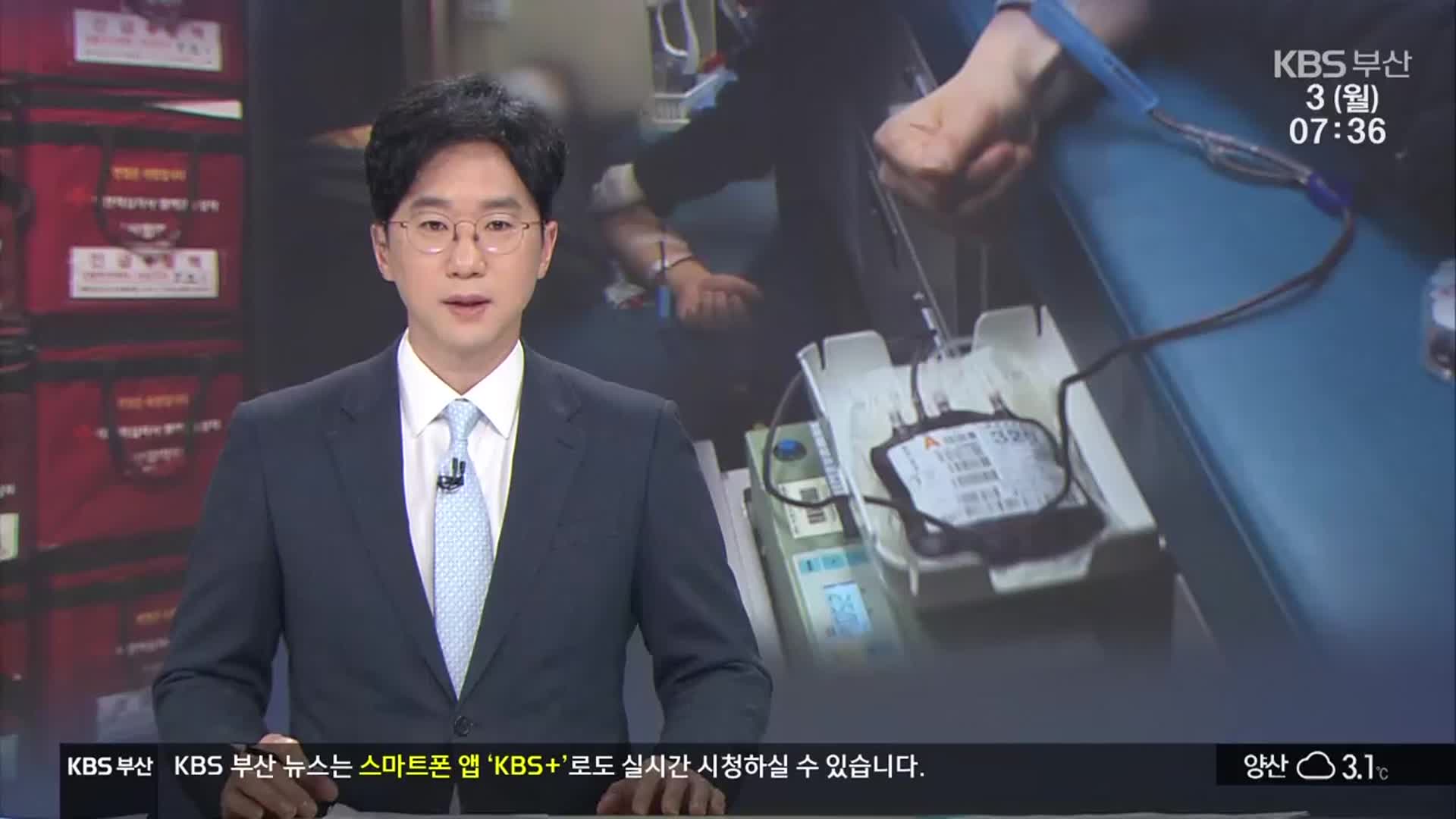 [뉴스광장 부산 오프닝]