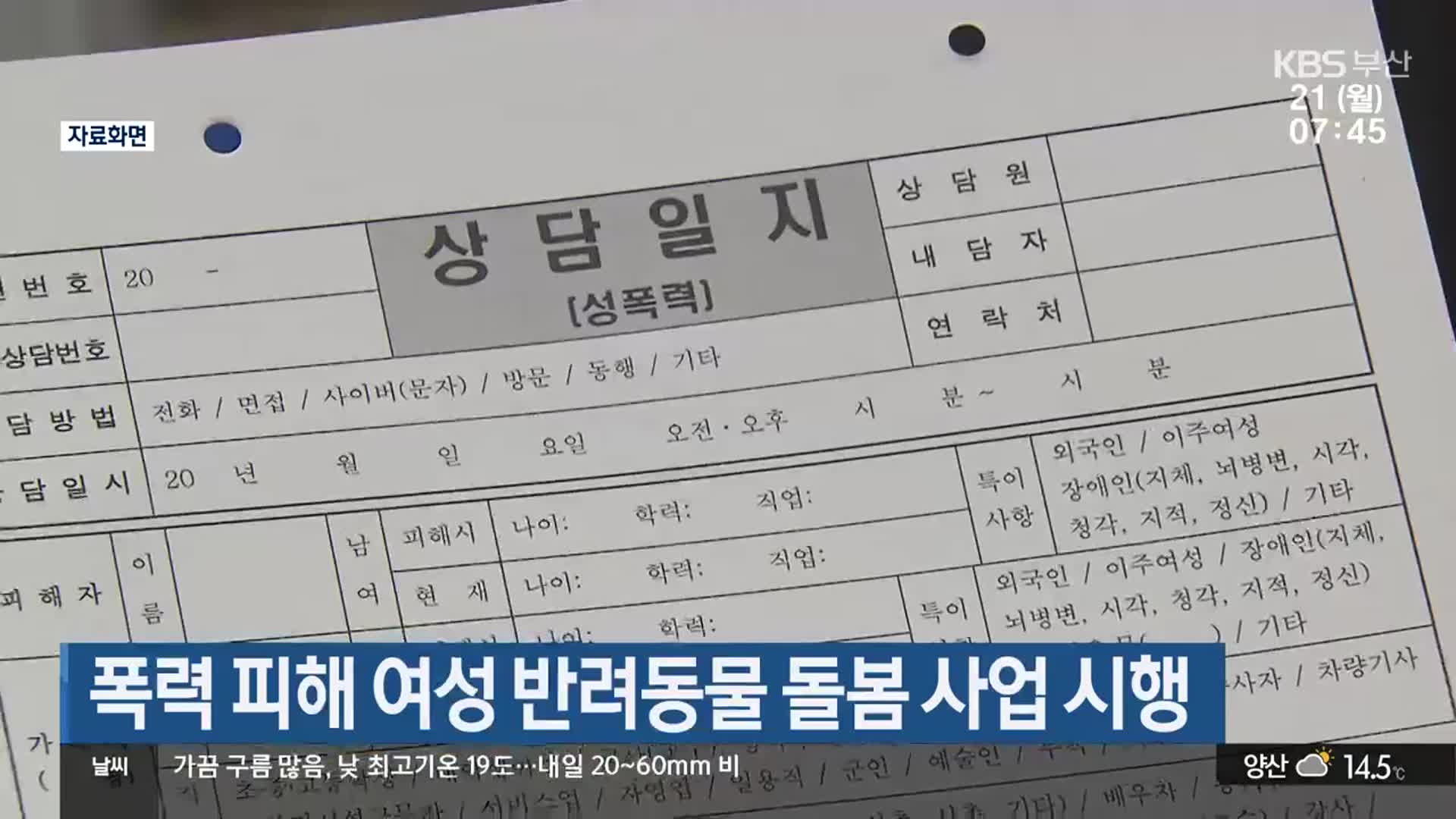 폭력 피해 여성 반려동물 돌봄 사업 시행