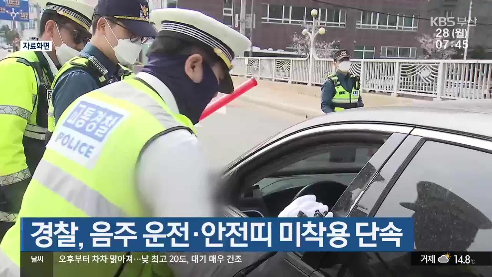부산경찰, 음주 운전·안전띠 미착용 단속