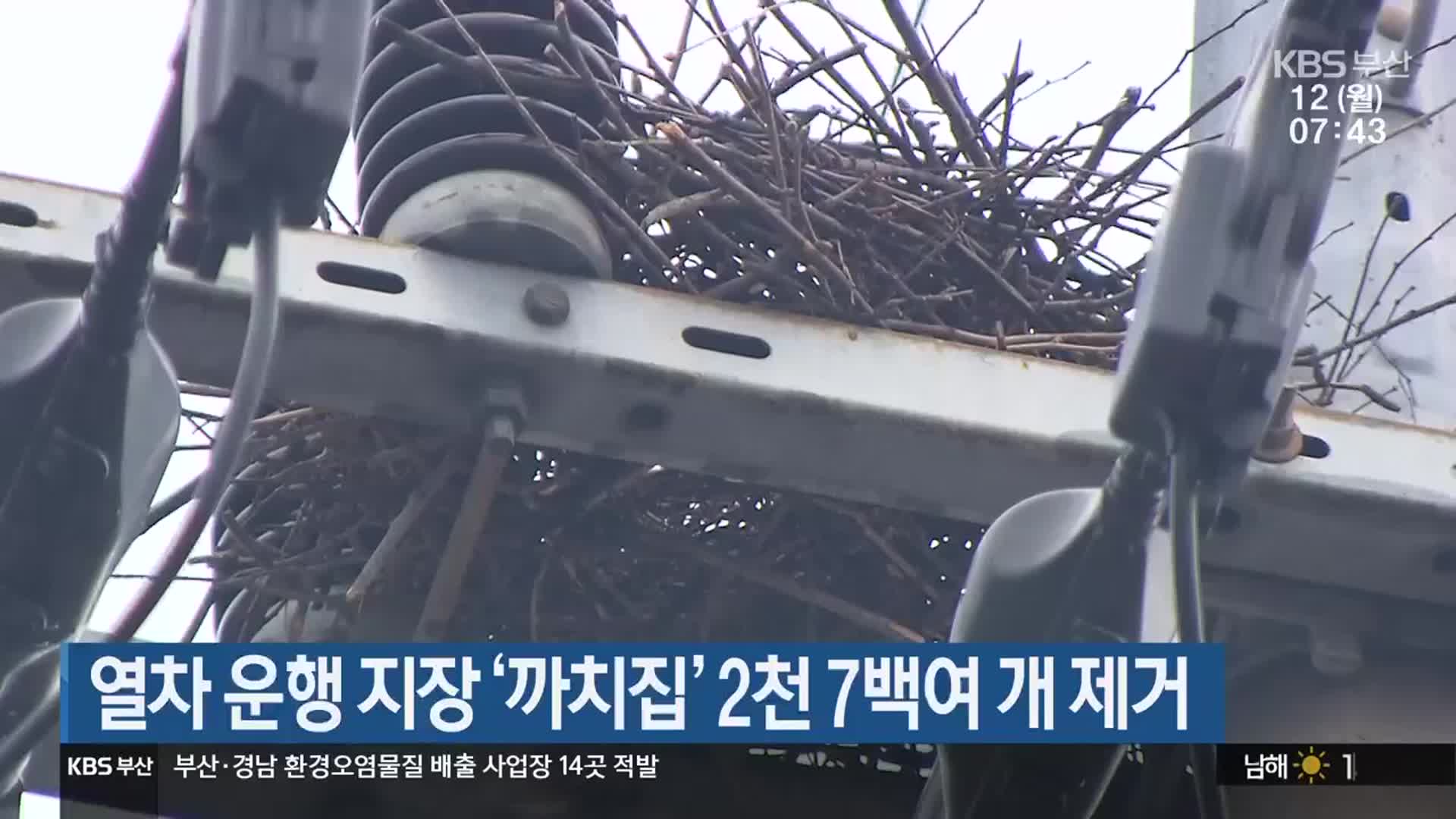 열차 운행 지장 ‘까치집’ 2천 7백여 개 제거