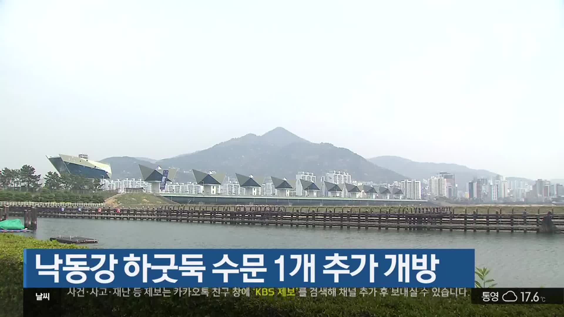 낙동강 하굿둑 수문 1개 추가 개방