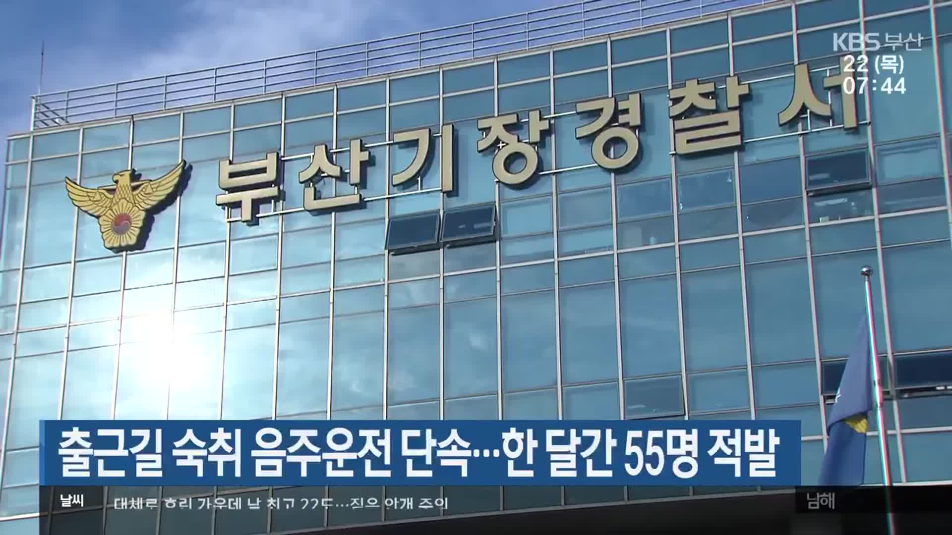 출근길 숙취 음주운전 단속…한 달간 55명 적발