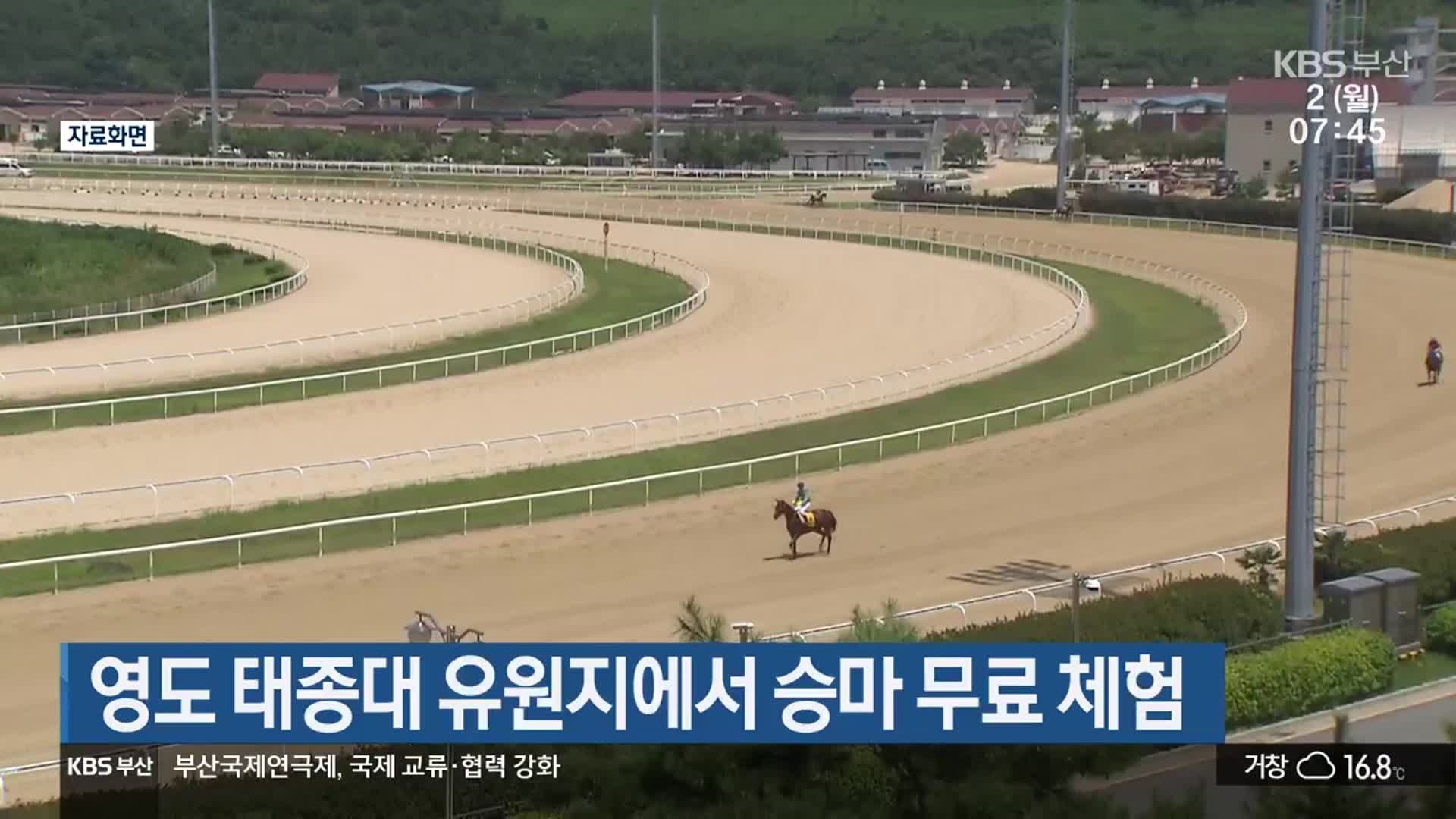 영도 태종대 유원지에서 승마 무료 체험