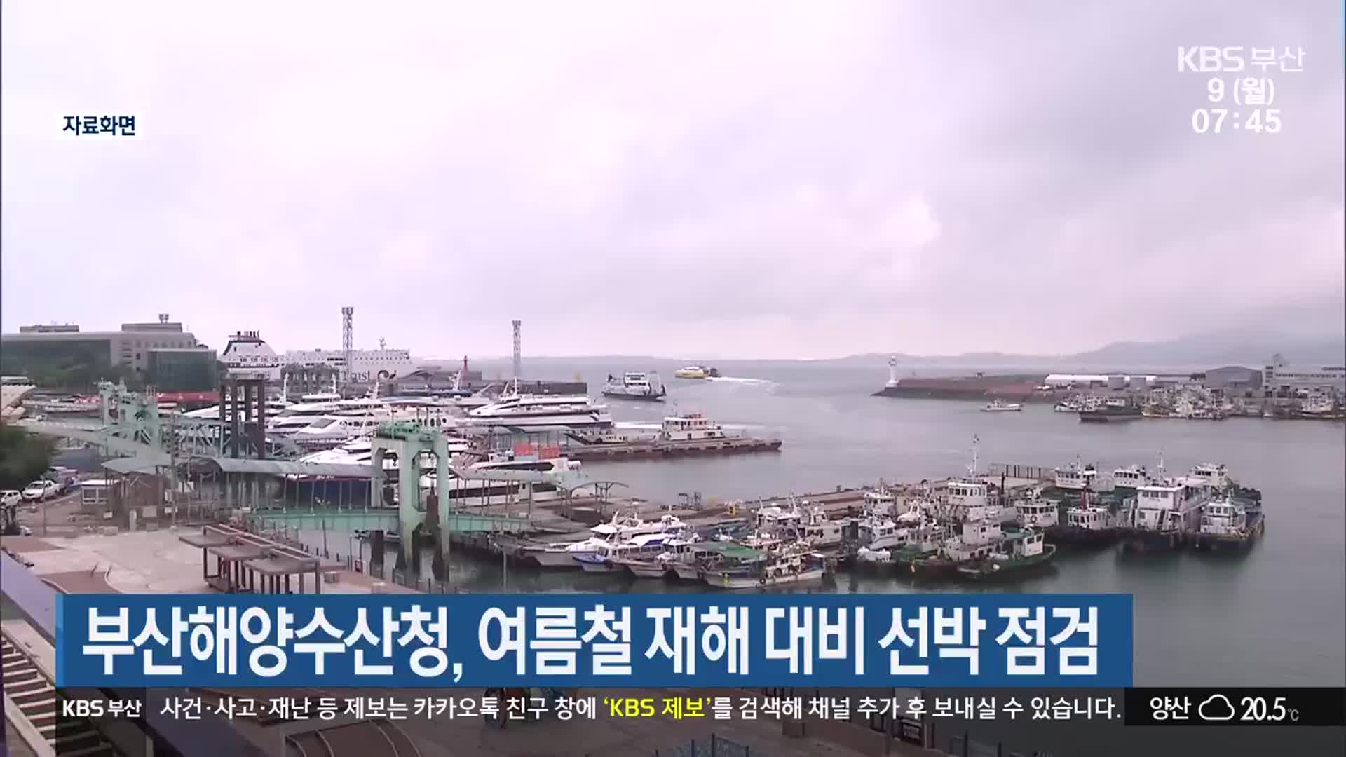부산해양수산청, 여름철 재해 대비 선박 점검