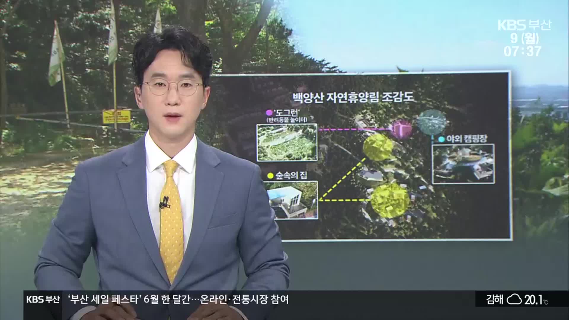 [뉴스광장 부산 오프닝]