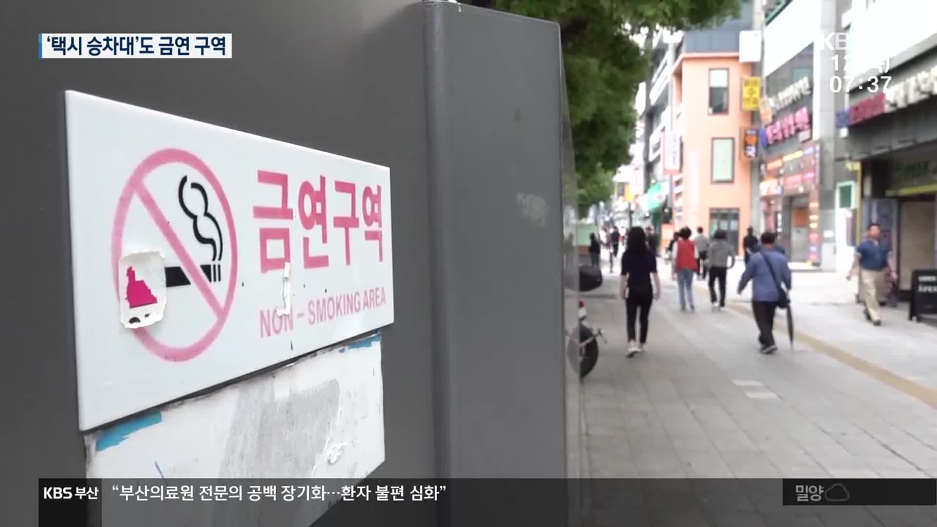 [뉴스광장 부산 풀영상]