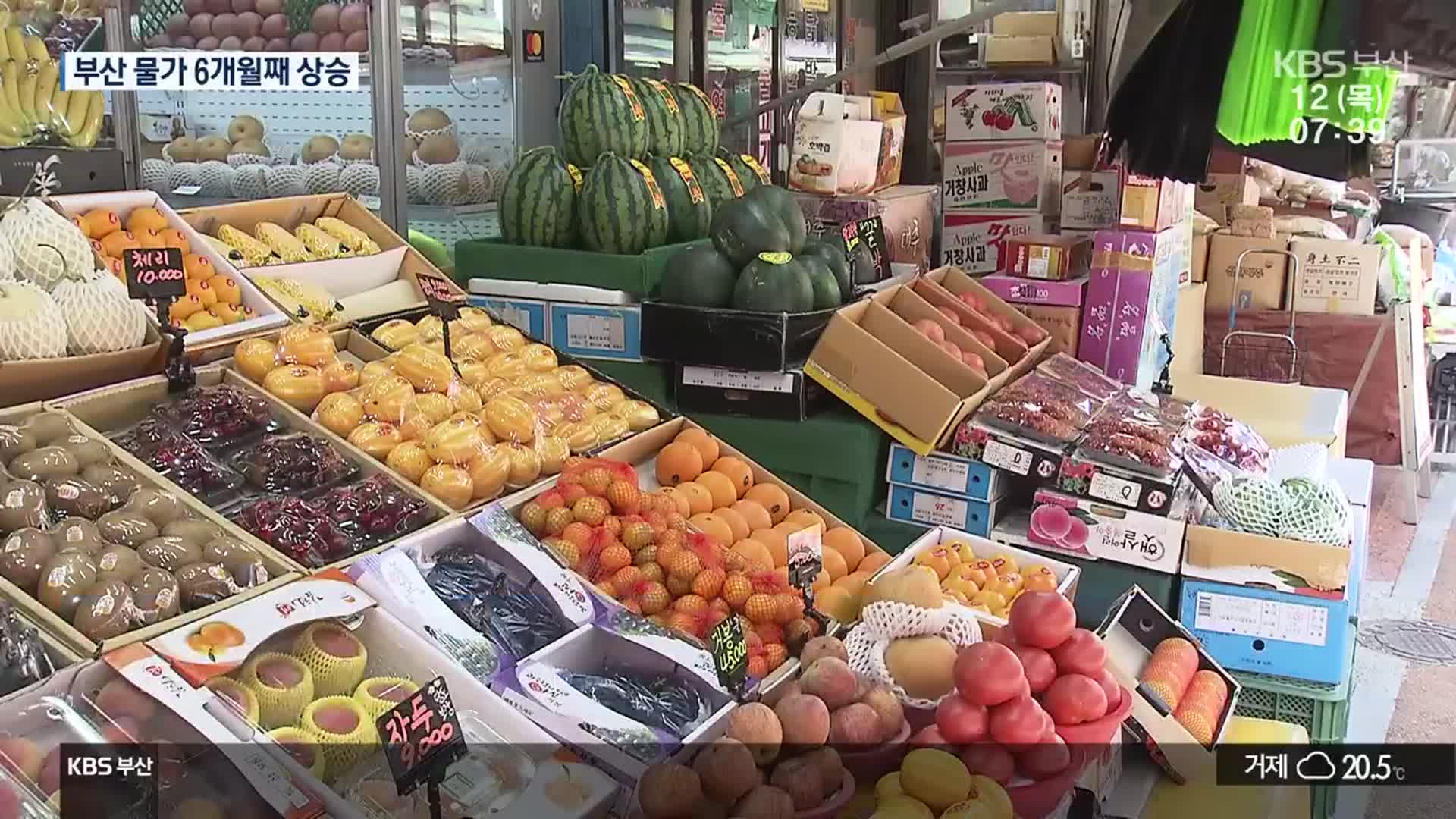 ‘천정부지’ 식탁 물가…소비자도 상인도 부담