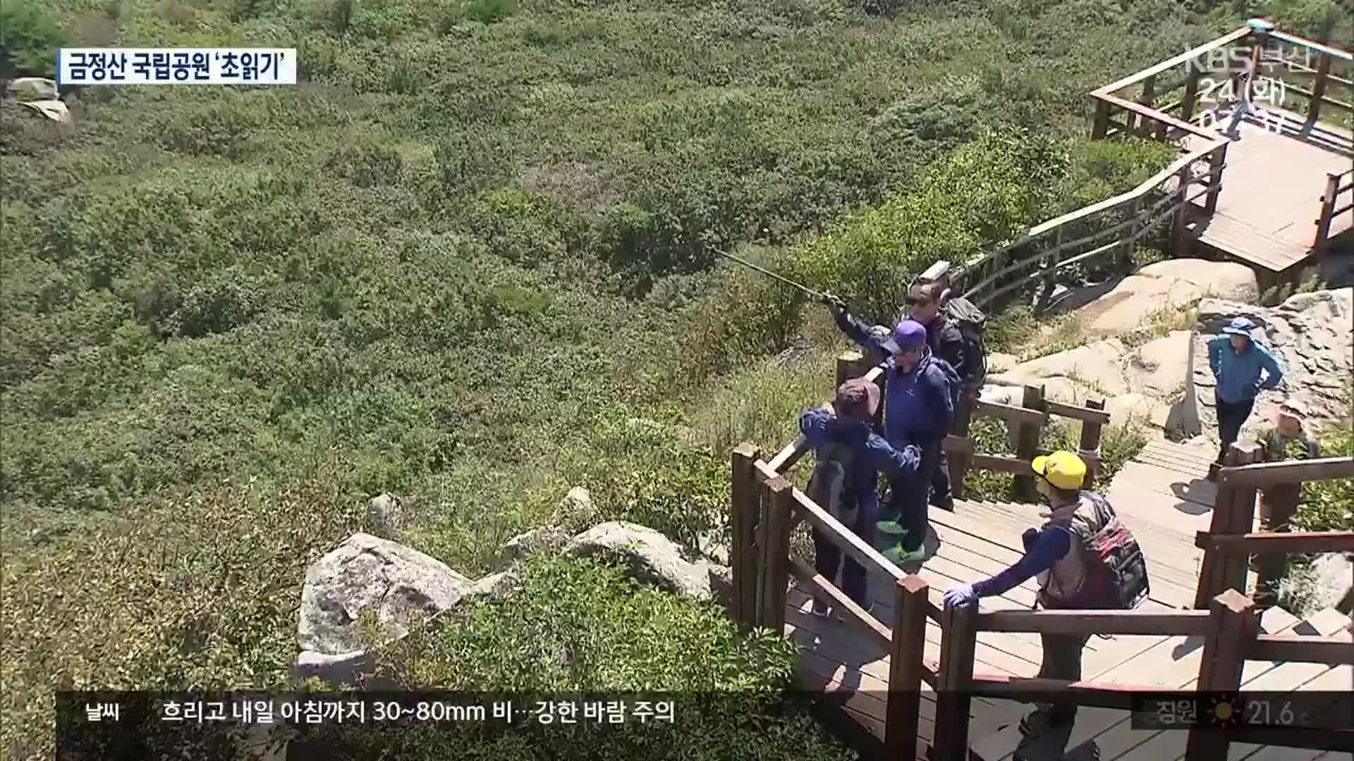 [뉴스광장 부산 풀영상]