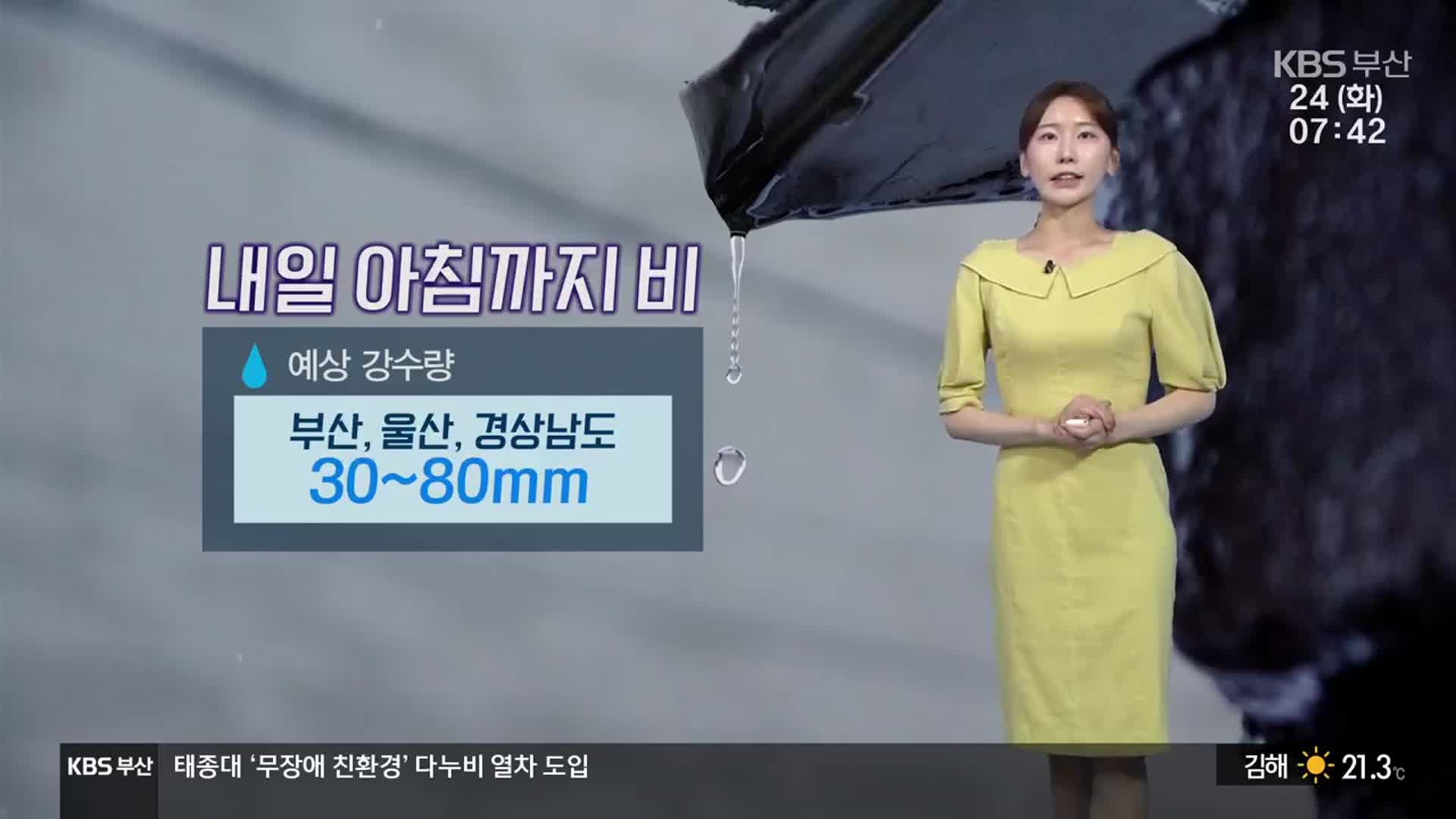 [날씨] 부산 내일 아침까지 비…벼락·돌풍 동반