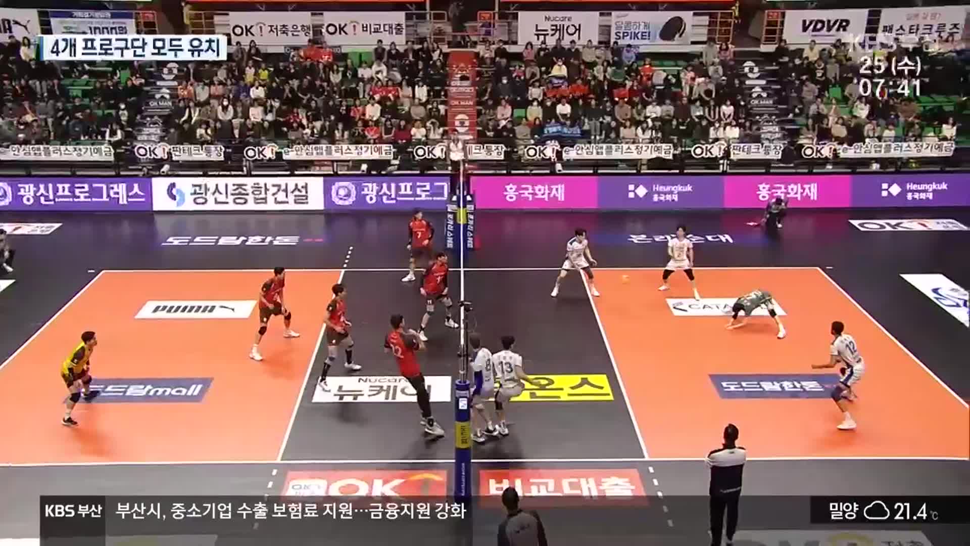 OK저축은행, 부산에 둥지…배구까지 품었다