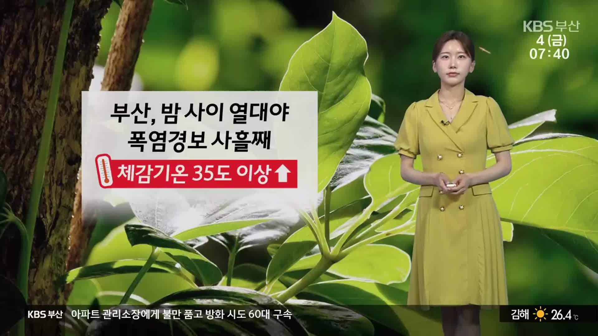[날씨] 부산, 밤 사이 열대야…오늘 체감기온 35도 이상↑