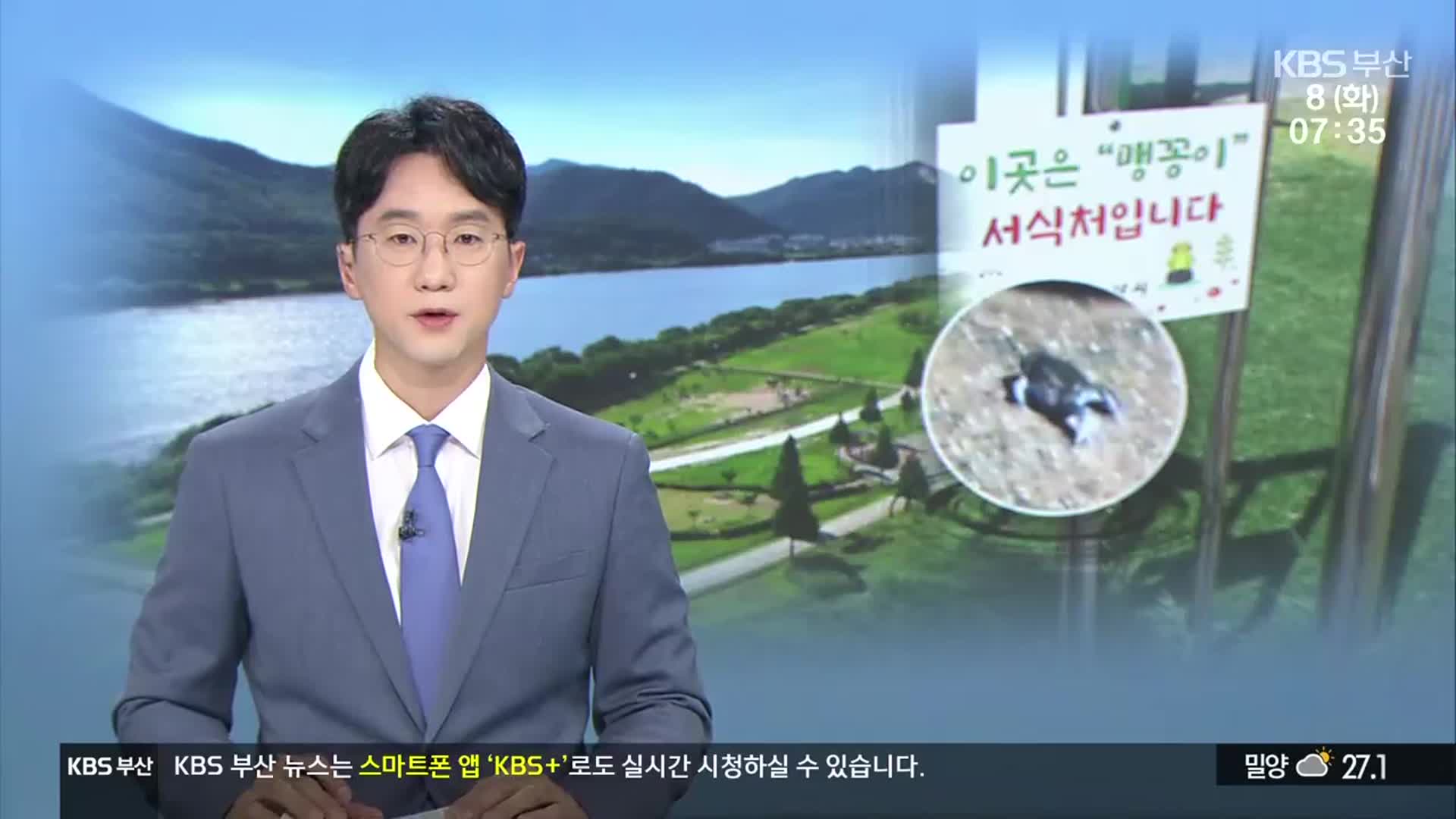 [뉴스광장 부산 오프닝]