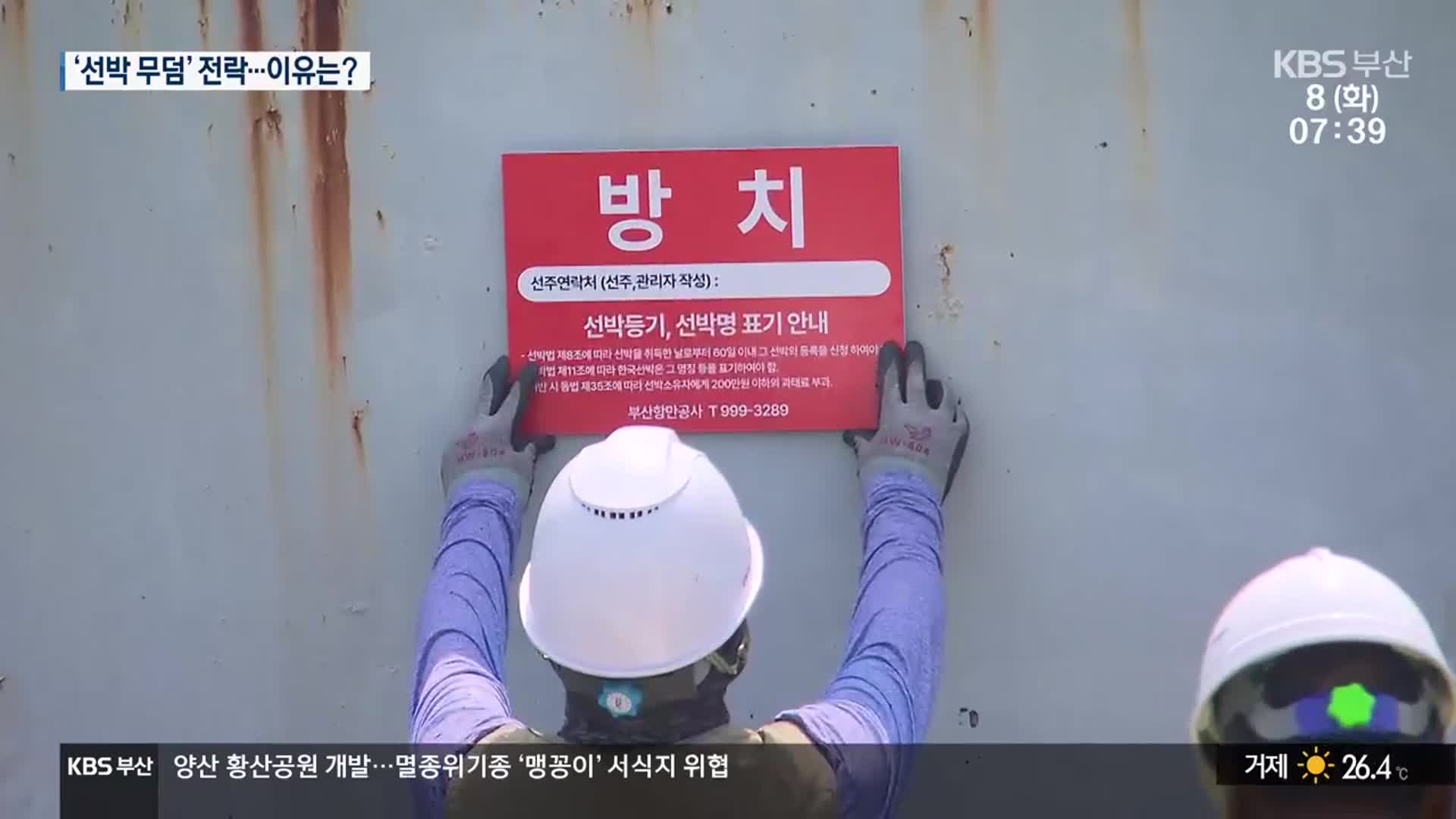 부산항 흉물…‘방치 폐선’ 처리 골머리