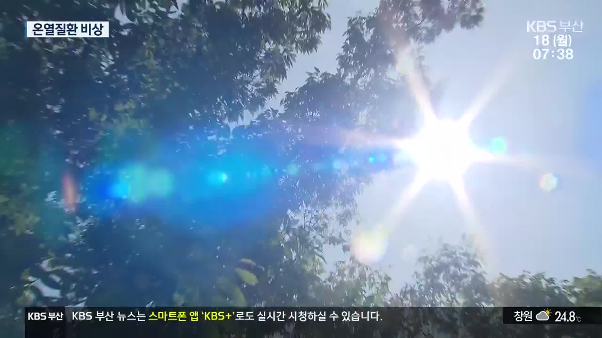 온열 질환자 7년 만에 최대…건강관리 ‘비상’