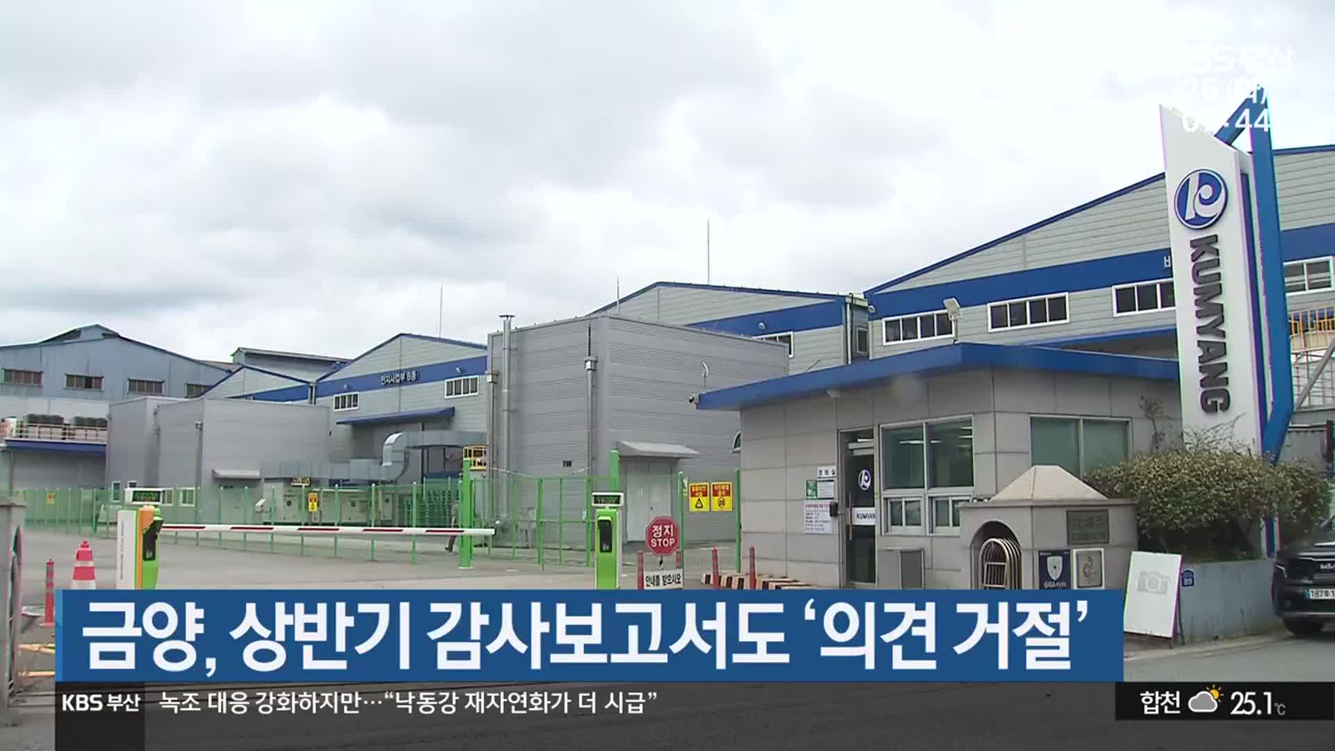 금양, 상반기 감사보고서도 ‘의견 거절’