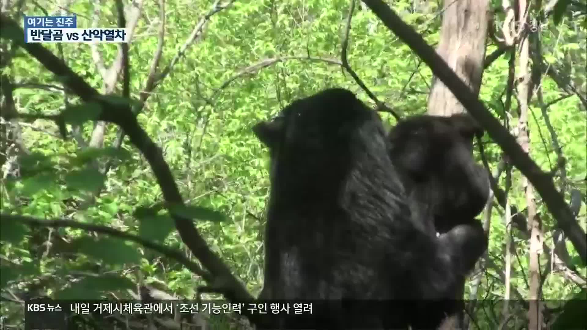 [여기는 진주] “형제봉에 반달곰 서식”…하동 산악열차 난항