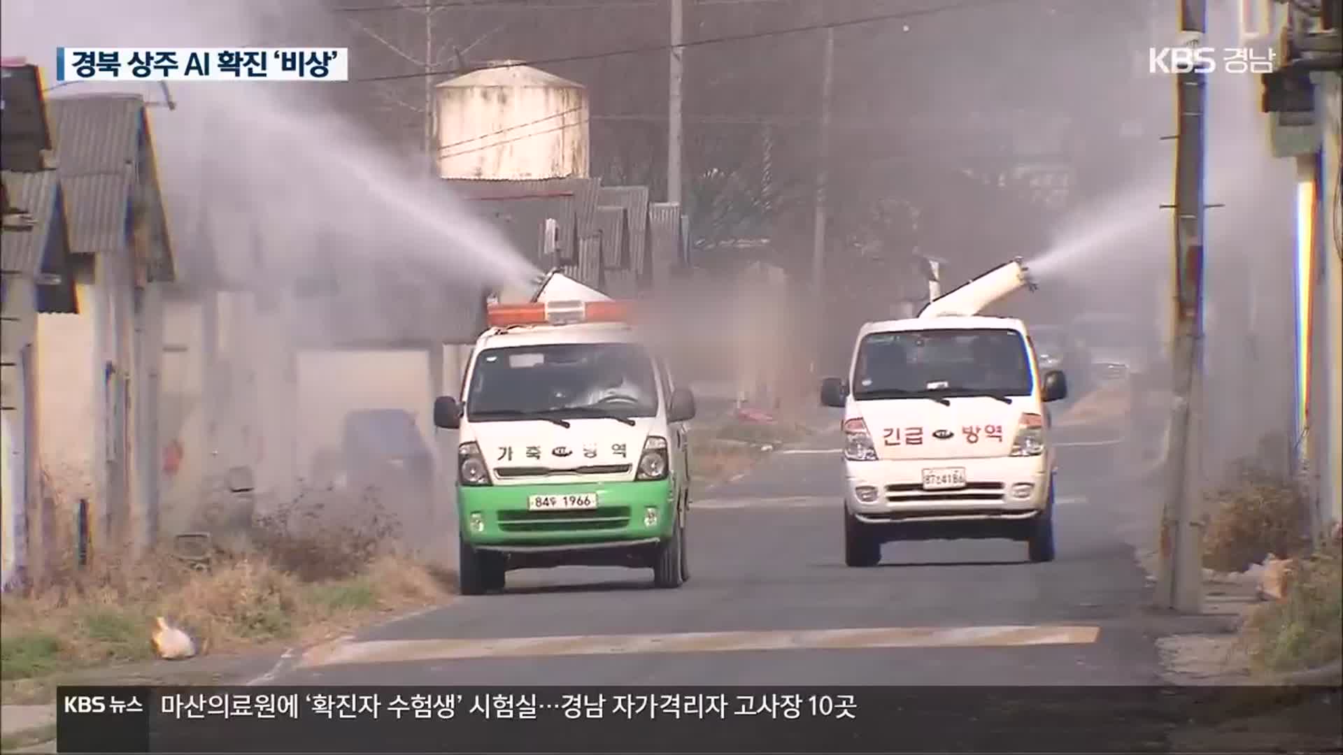 경북 상주 산란계 농장서도 AI 확진…방역 비상