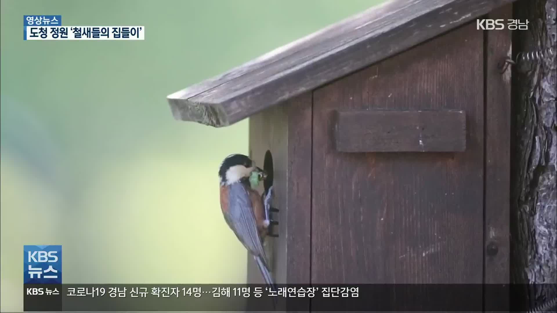 [영상] “새집이 생겼어요!”…‘도청 철새들’의 집들이