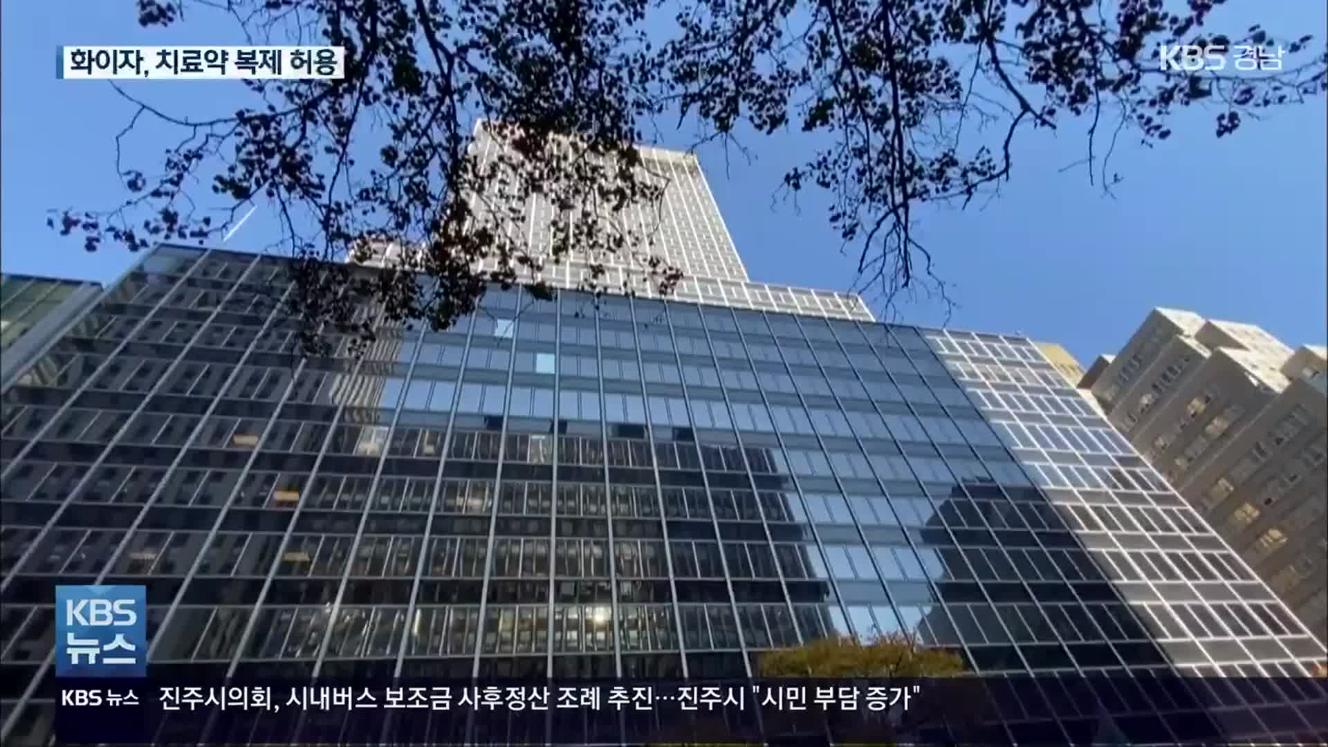 화이자, 코로나19 치료 알약 복제 허용…95개 빈곤국 공급