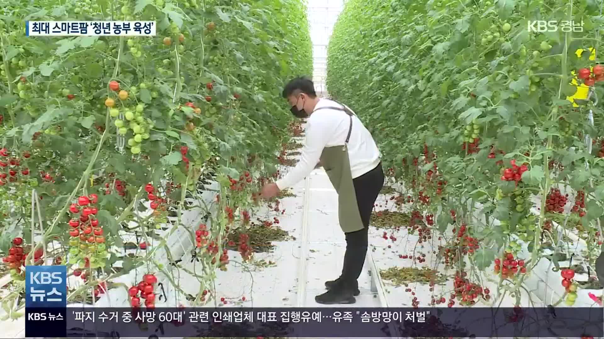 국내 최대 스마트팜 단지…“청년 농부 유치”