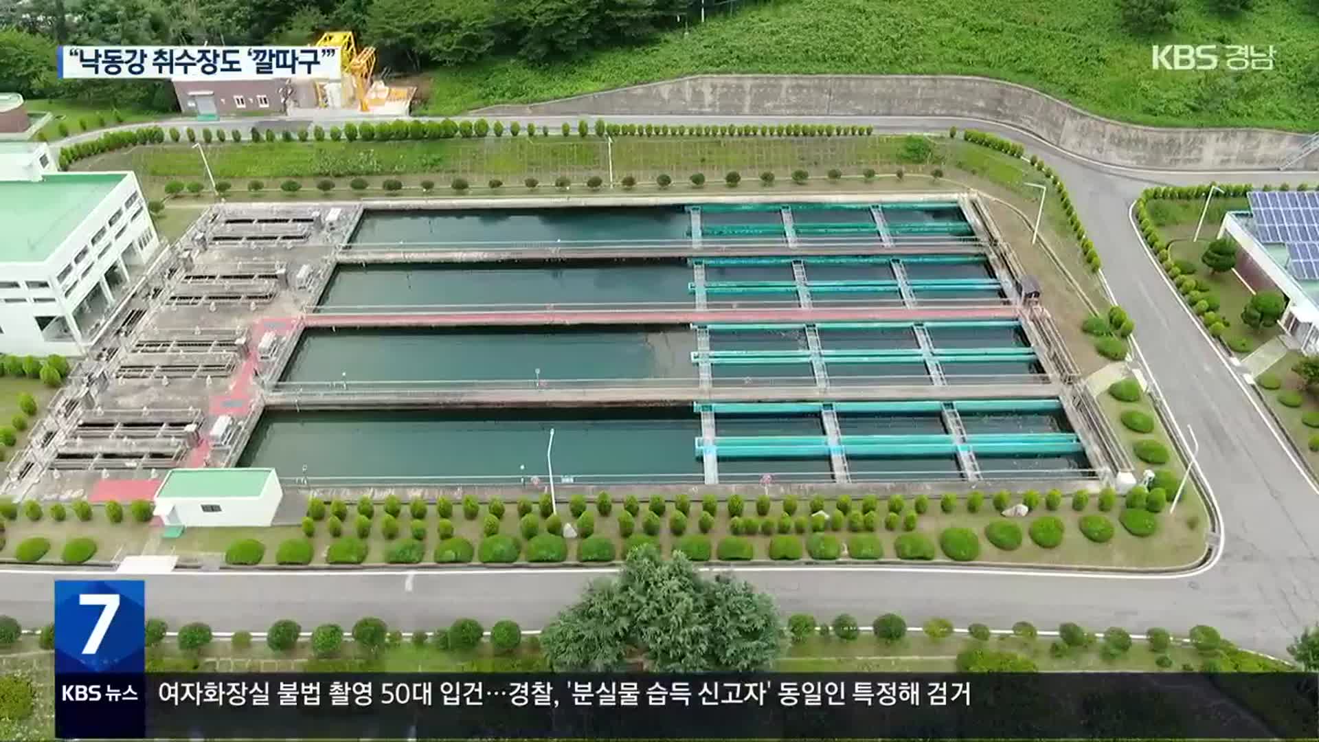 “낙동강 취수장서도 ‘깔따구’ 발견”…원인은 어디?