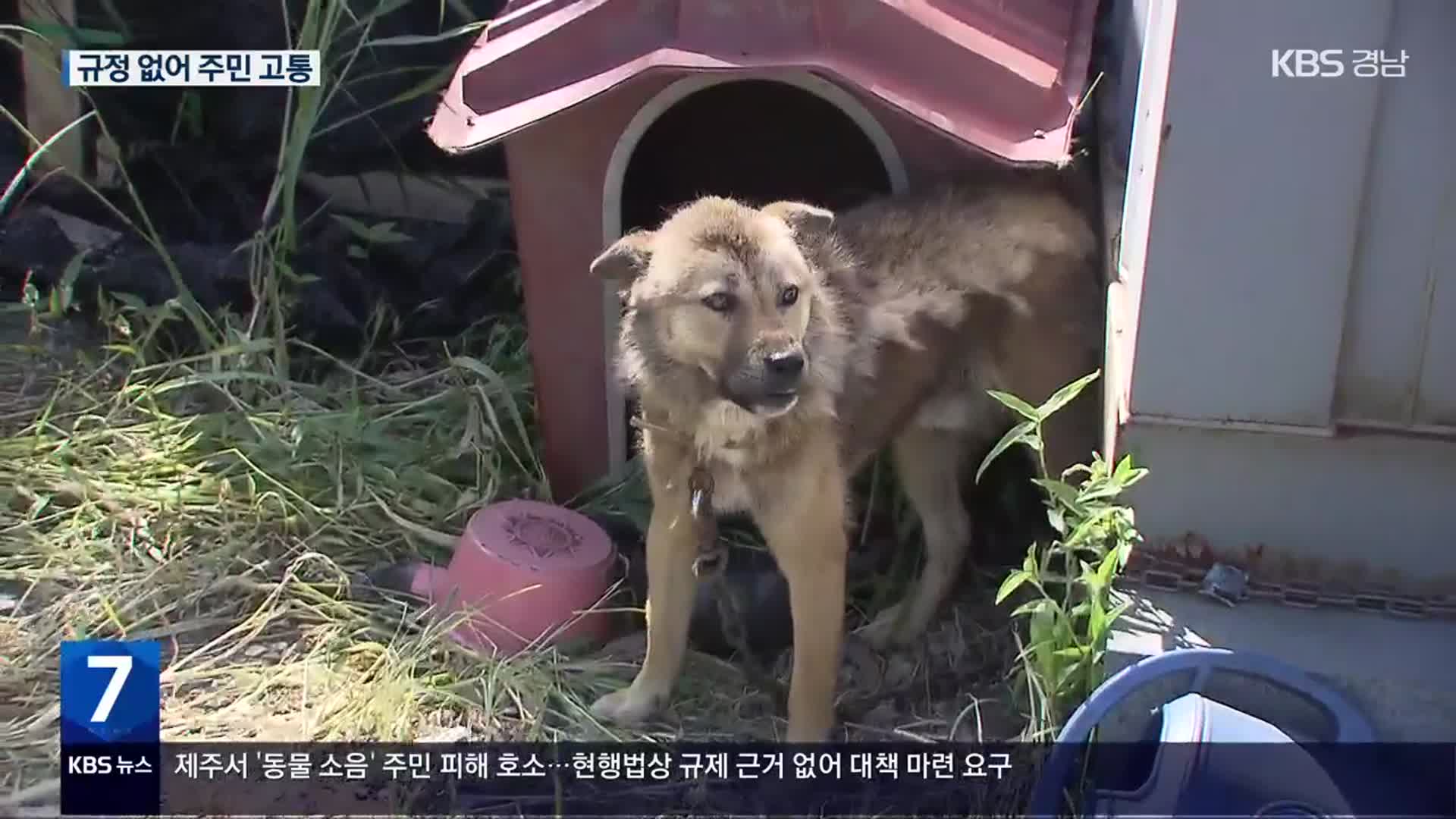 “개 소음 때문에 못 살겠다”…규정 없어 주민 고통