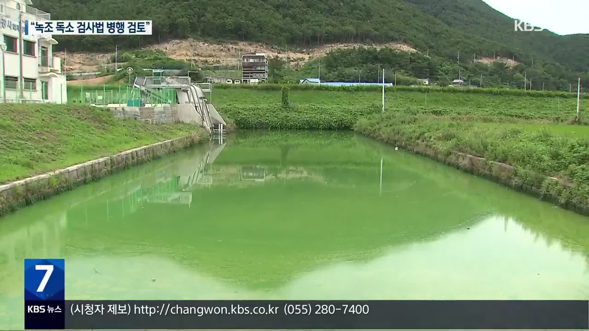 논물에도 녹조 띠 ‘둥둥’…환경부, 독소 신속 검사법도 검토