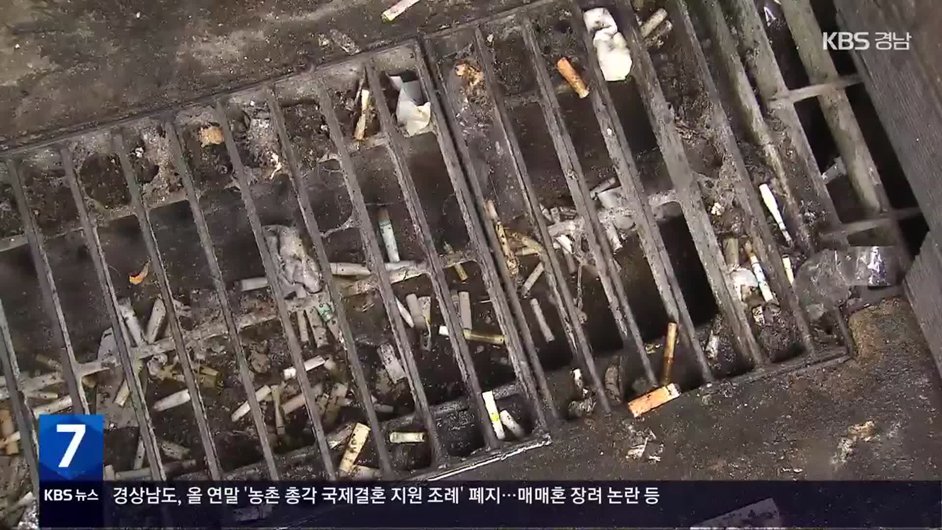 [풀뿌리 언론K] “하수구에 던진 담배꽁초…돌고 돌아 우리 몸속으로”