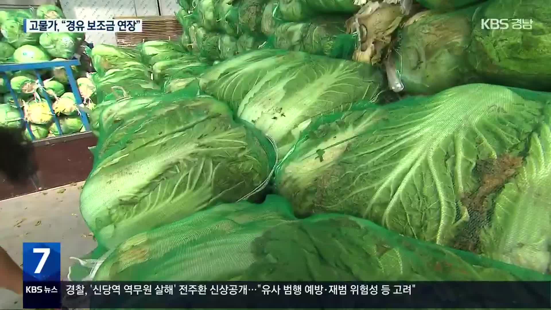 정부 고물가 대응 “배추 조기 출하…경유 보조금 연장”