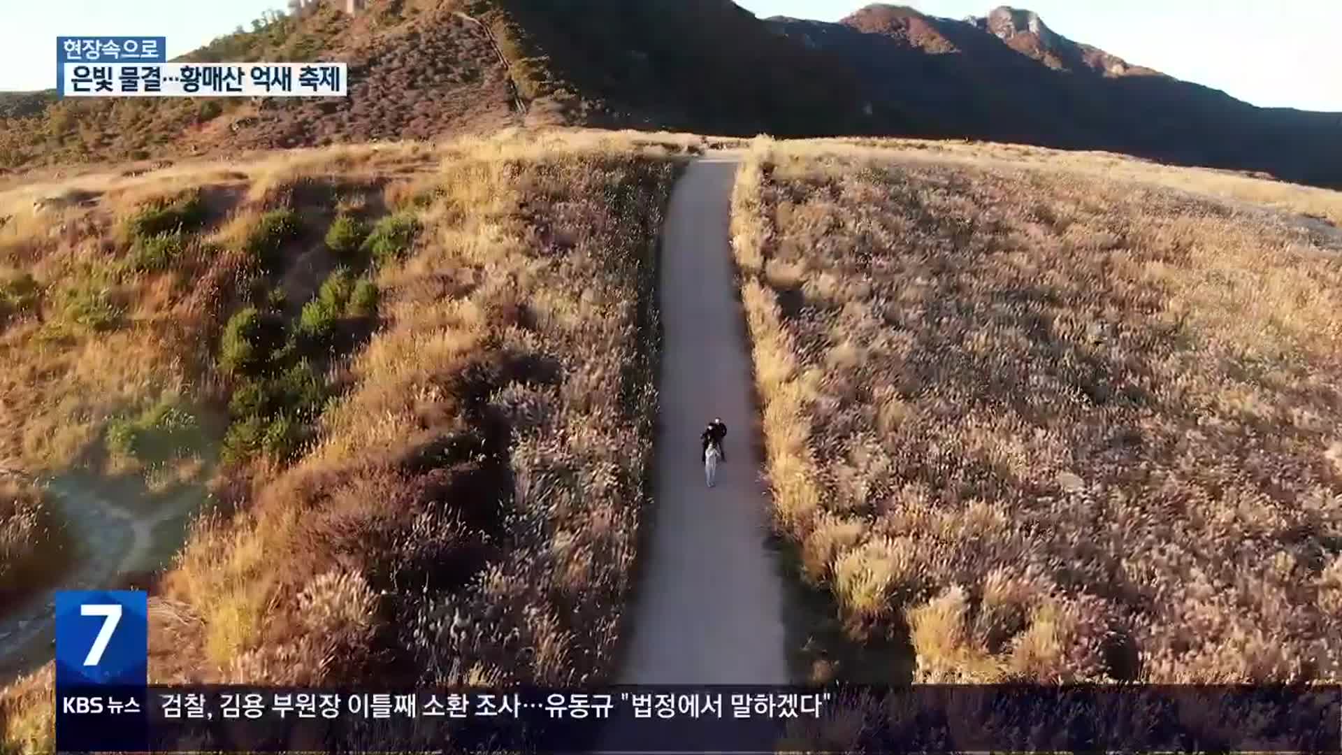 [현장속으로] 은빛 물결 속으로…합천 황매산 억새 축제