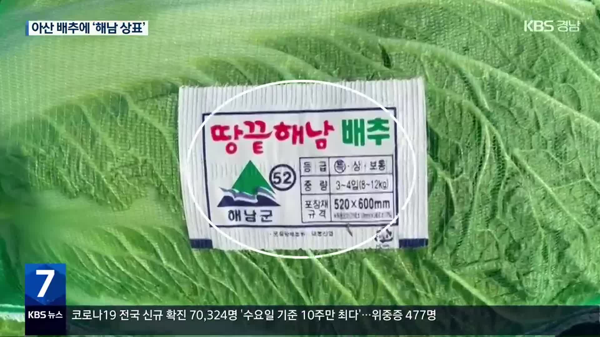 아산 배추밭에 ‘해남산 상표’…김장철 ‘원산지 둔갑’ 횡행