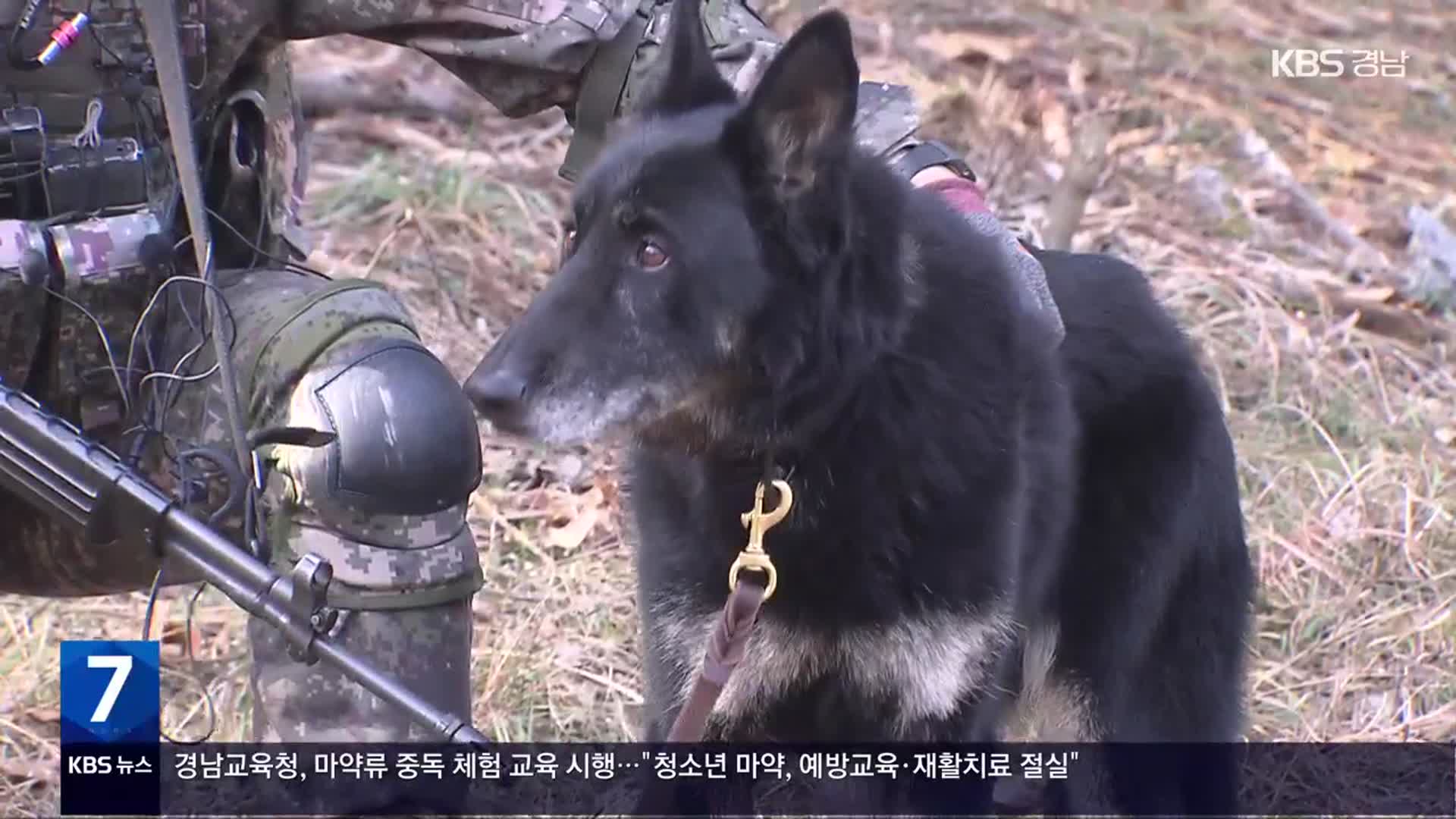 실종 여중생 구한 ‘영웅 군견’ 달관이 은퇴