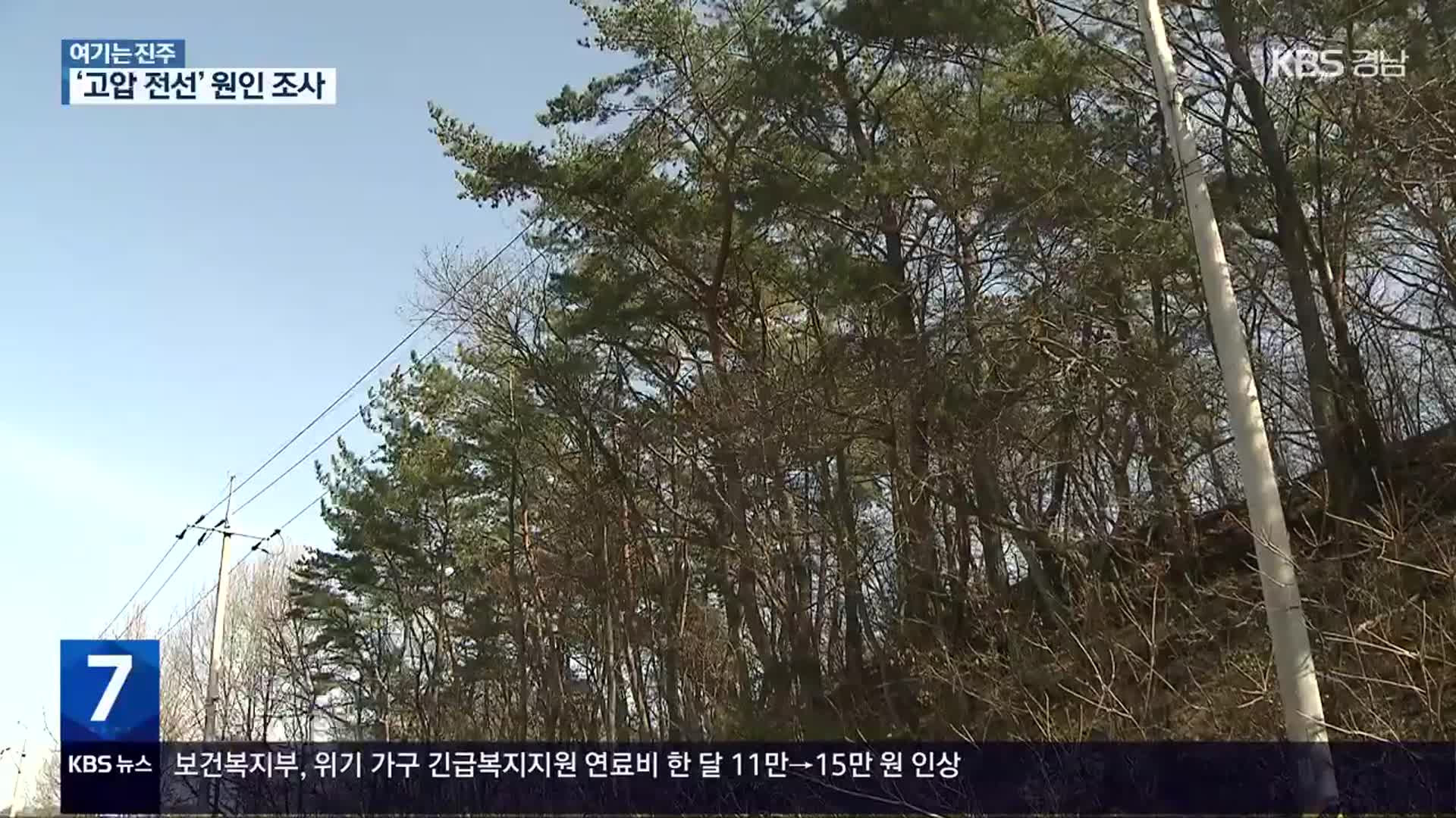 [여기는 진주] 고압 전선 불티가 산불로?…산림청 원인 조사