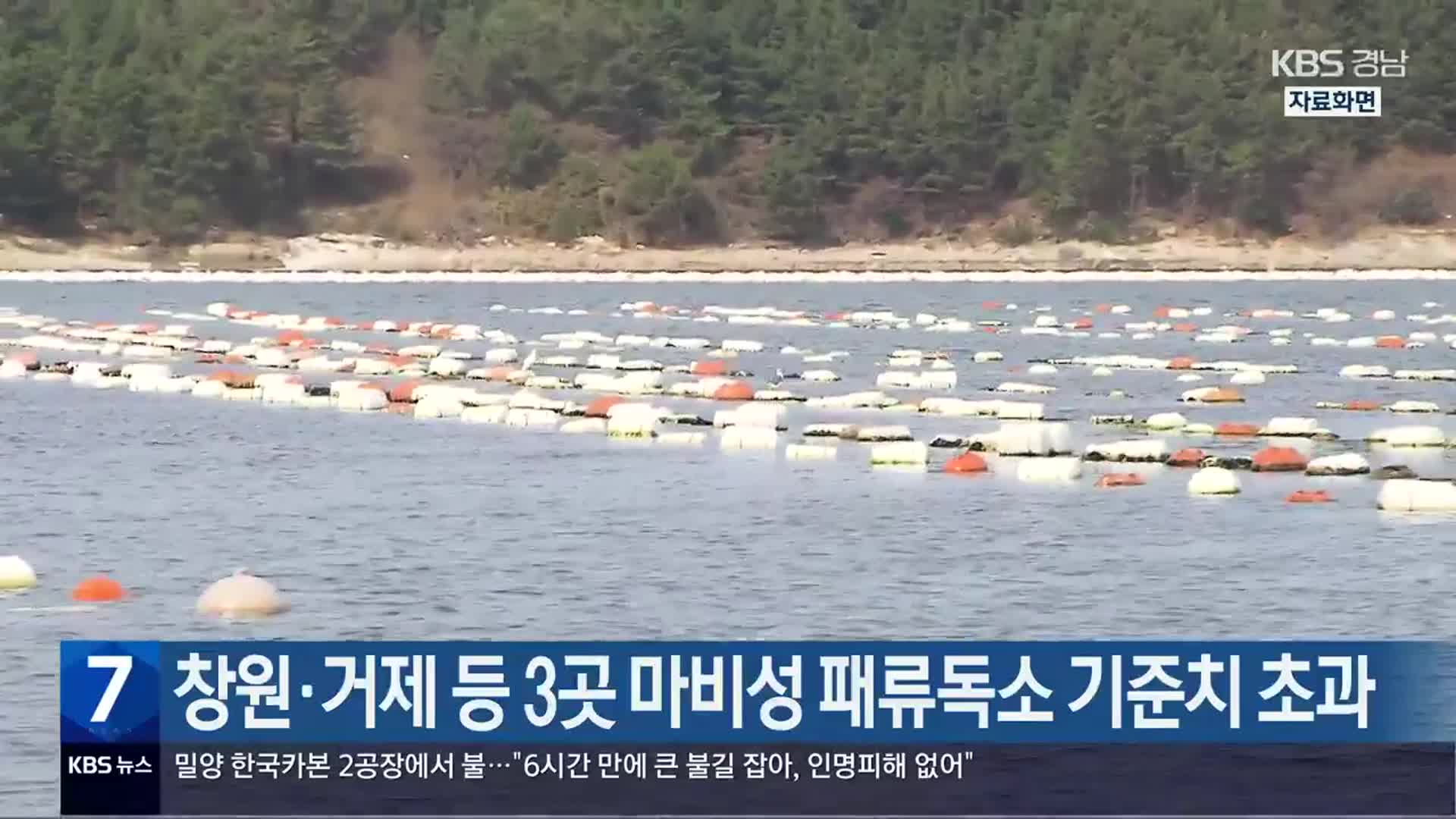 창원·거제 등 3곳 마비성 패류독소 기준치 초과