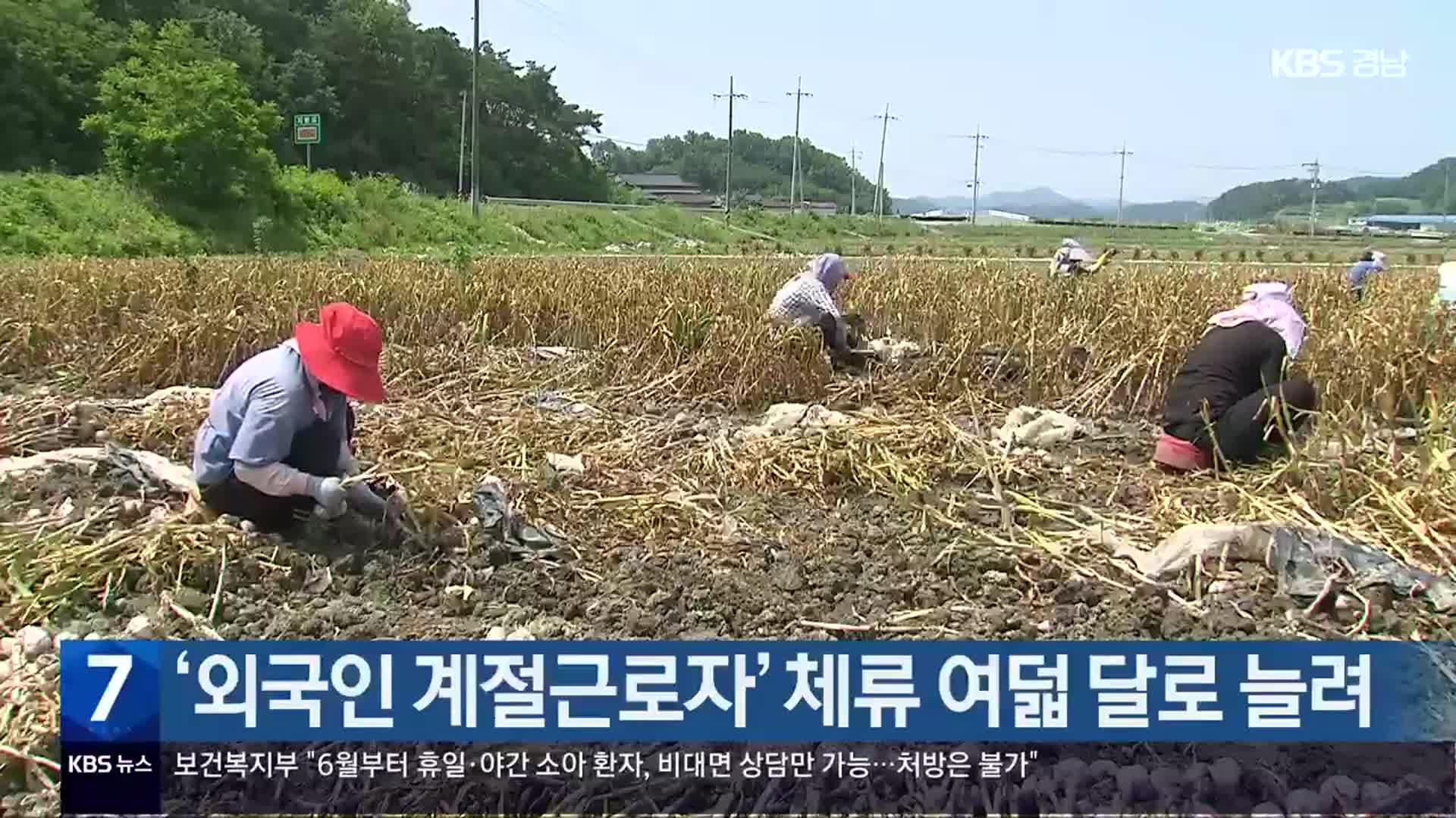 ‘외국인 계절근로자’ 체류 여덟 달로 늘려