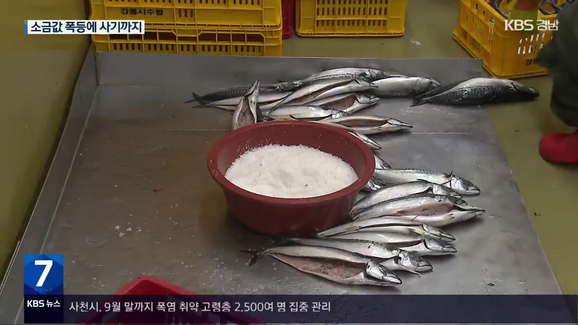 소금값 고공행진 속 소금 판매 사기까지