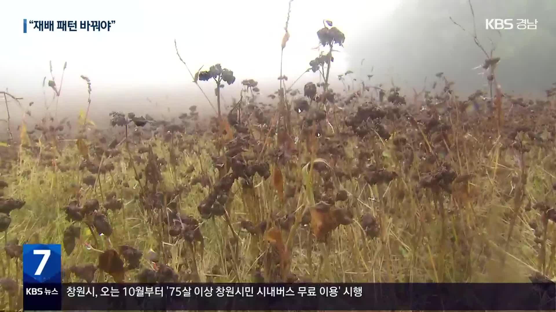 “다 갈아엎을 판”…기후 변화에 봄 농사 피해 심각