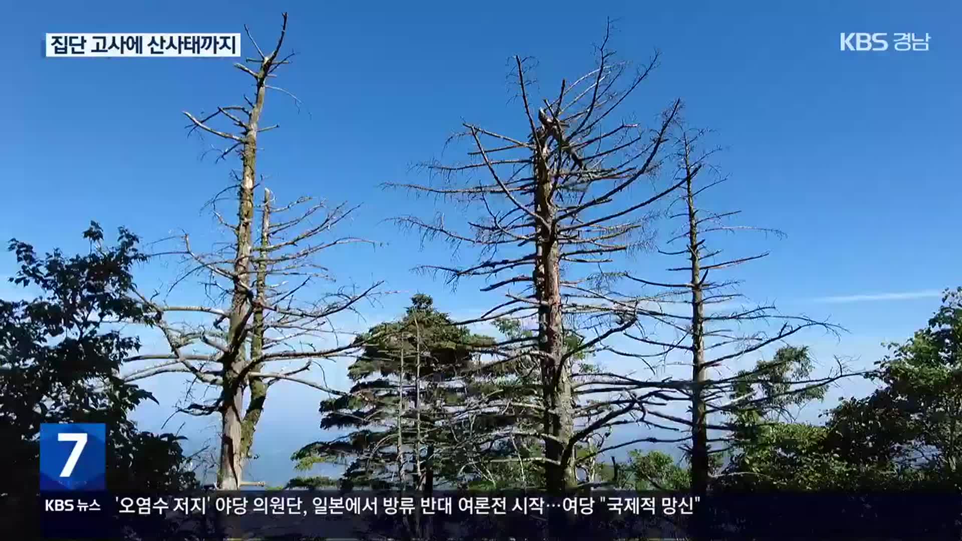 지리산 곳곳 ‘산사태 지뢰밭’…“폭우 뒤 등산로도 위험”