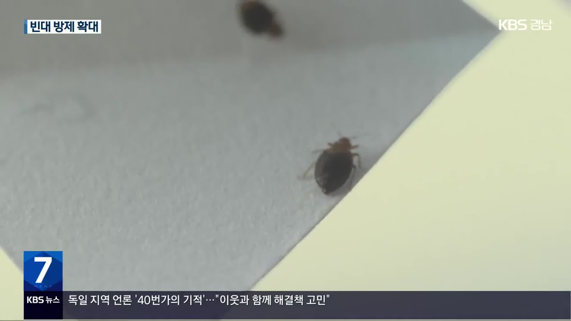 ‘빈대 포비아’에 방제 집중…“해충이지만 감염병 안 옮겨”