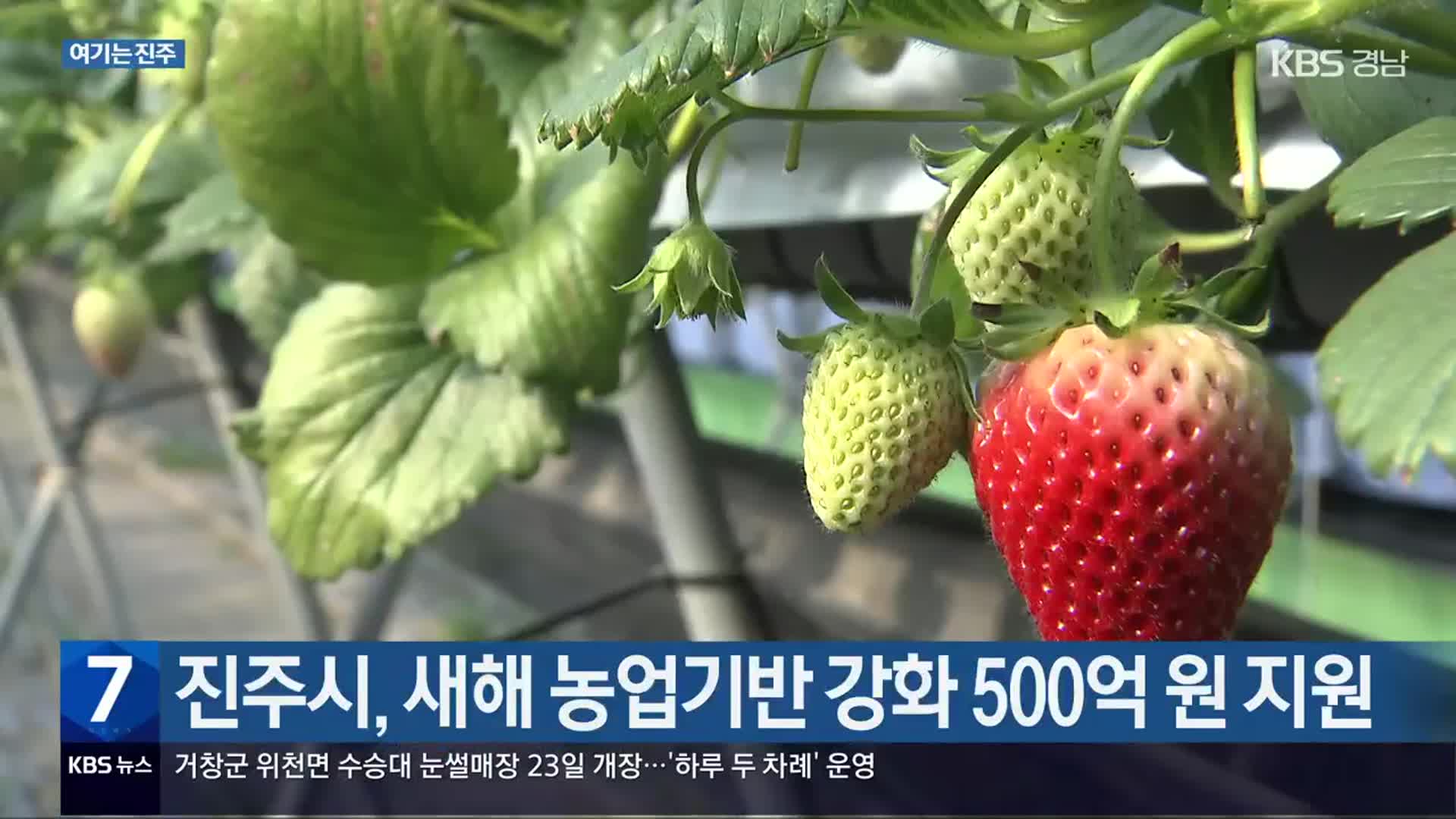 [여기는 진주] 진주시, 새해 농업기반 강화 500억 원 지원 외