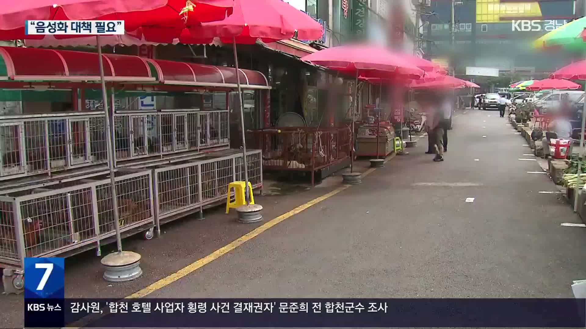 ‘개 식용 금지’에 상인들 한숨…음성화 우려도