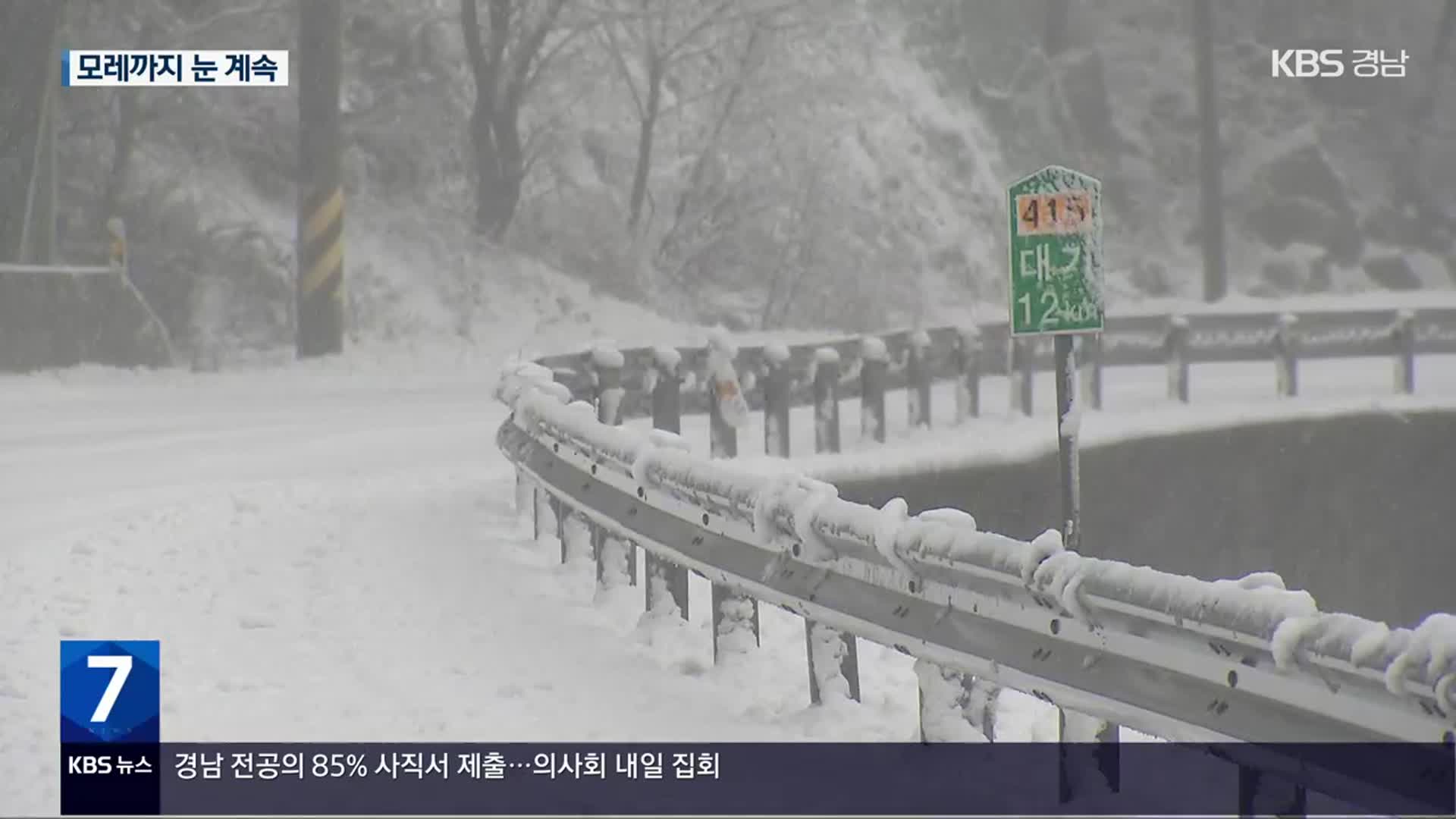 최고 50cm 폭설…가로수 쓰러지고 눈길 사고 잇따라