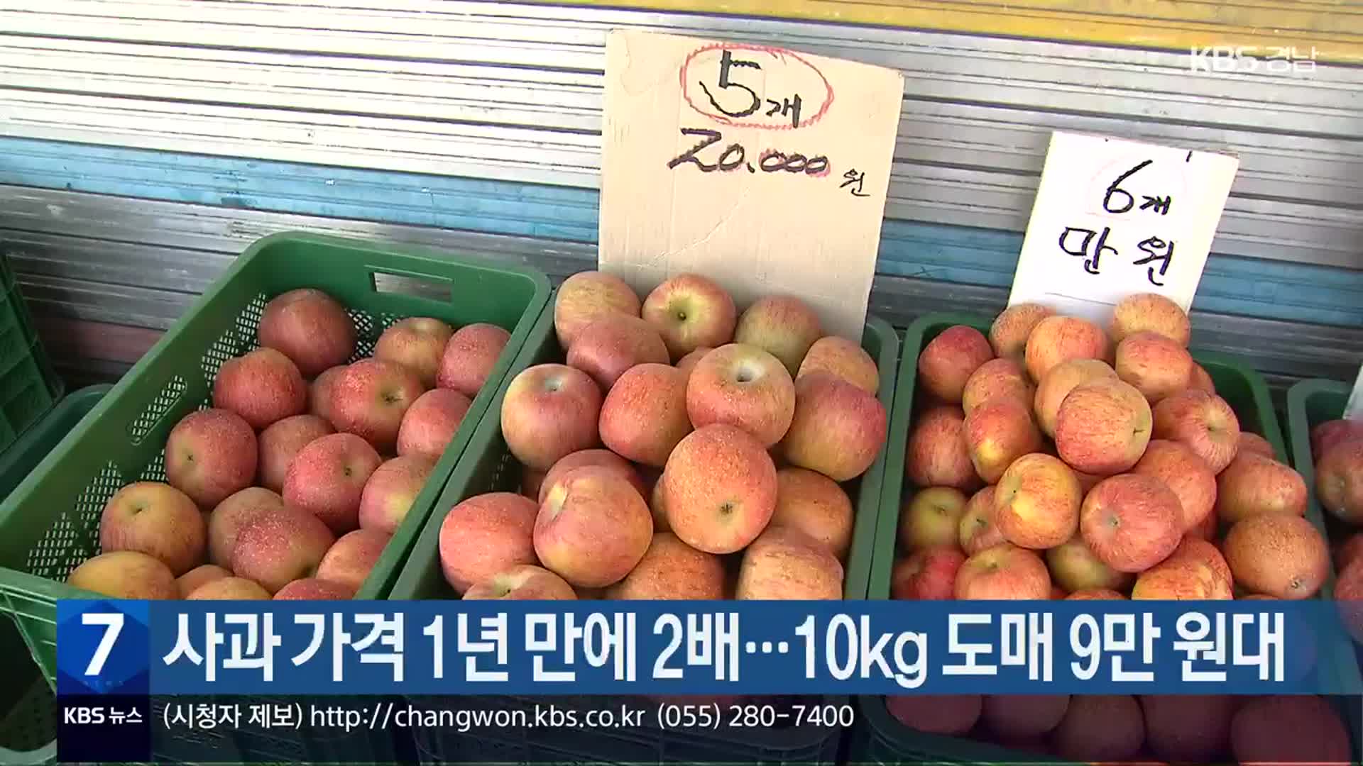 사과 가격 1년 만에 2배…10kg 도매 9만 원대