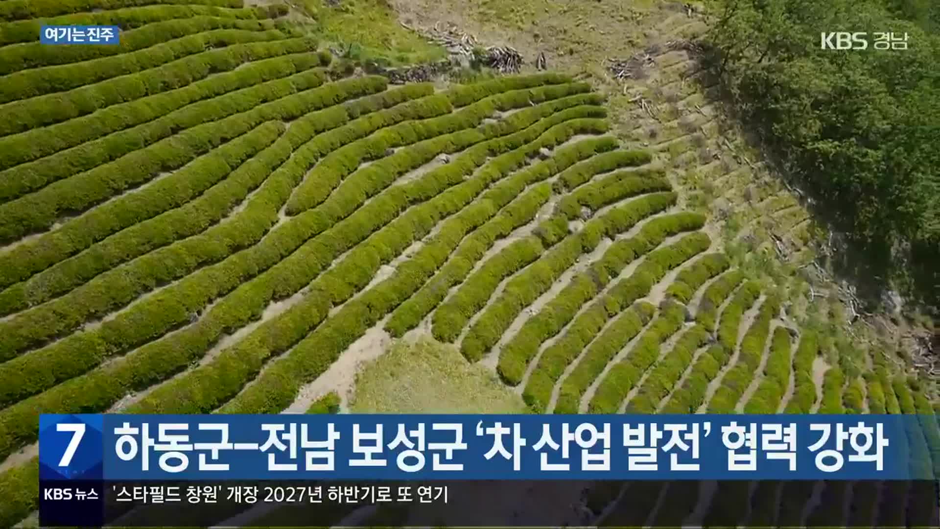 [여기는 진주] 하동군-전남 보성군 ‘차 산업 발전’ 협력 강화 외