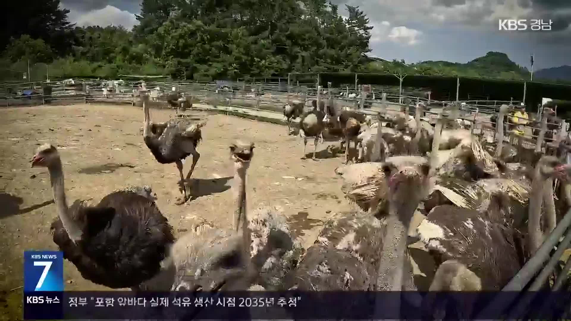 [현장속으로] ‘타조’와 함께 꾸는 청년 창업농의 꿈!